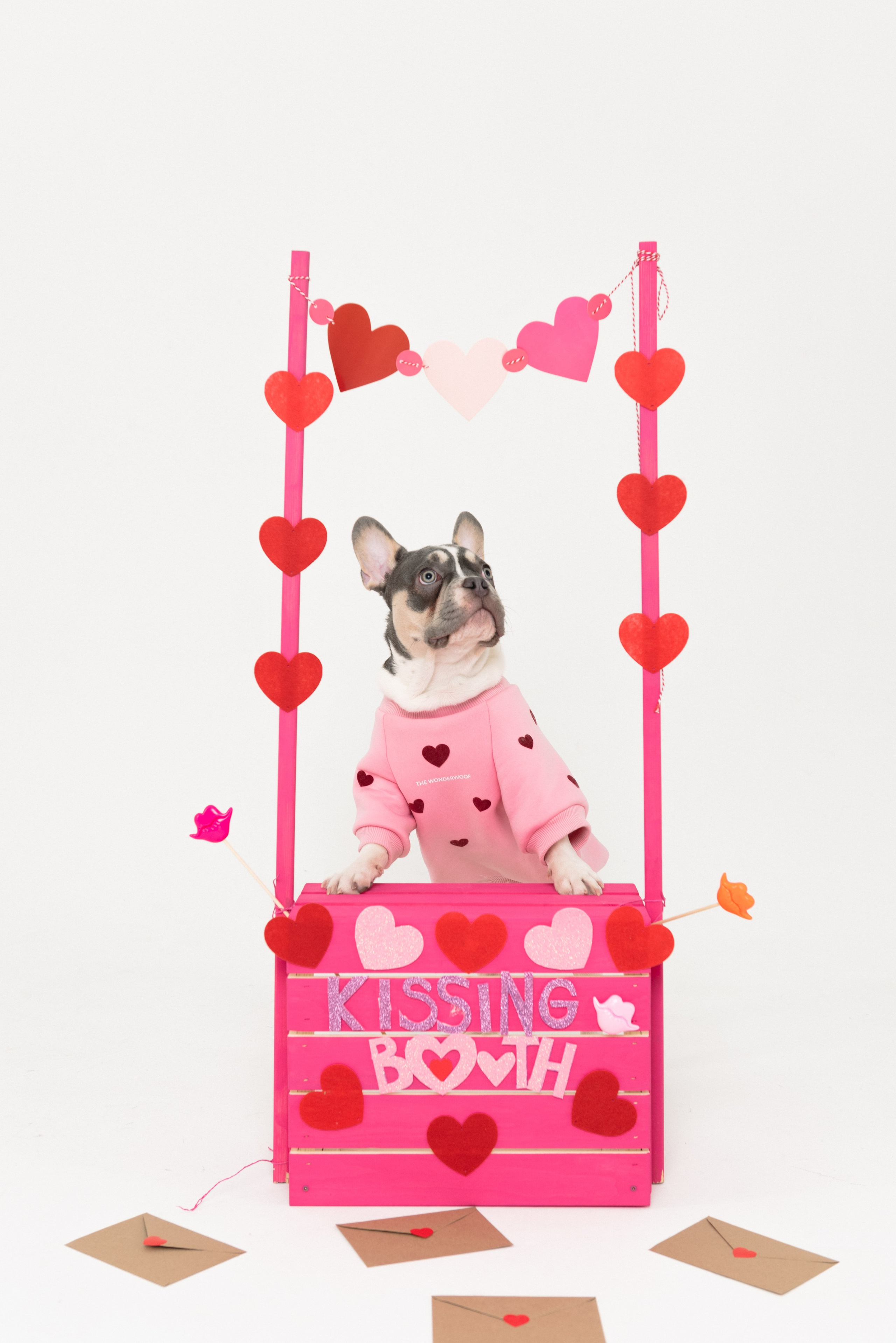 Pets. Фотограф в Москве Daria Lens