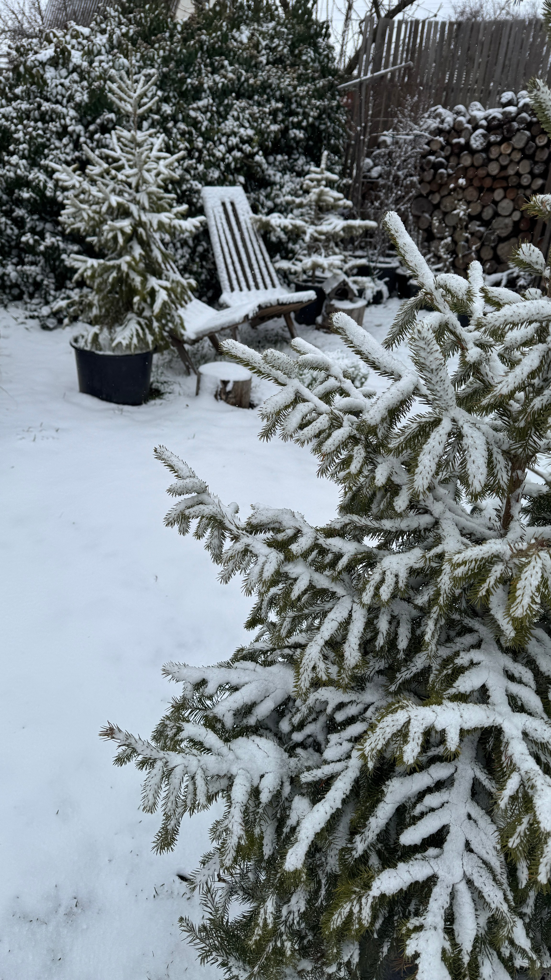 Зима. Фотостудия Натальи Забродской