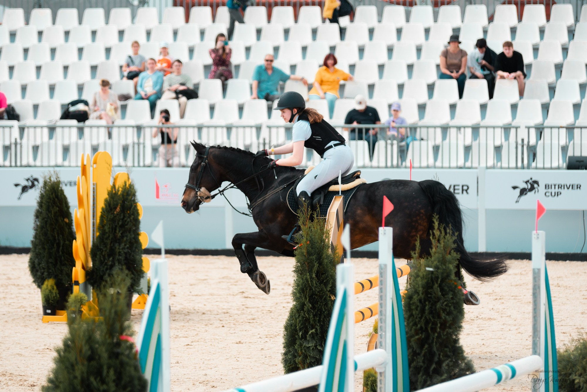 BITRIVER CUP 2023. Конный фотограф Куракина Дарья • Фотосессии с лошадьми