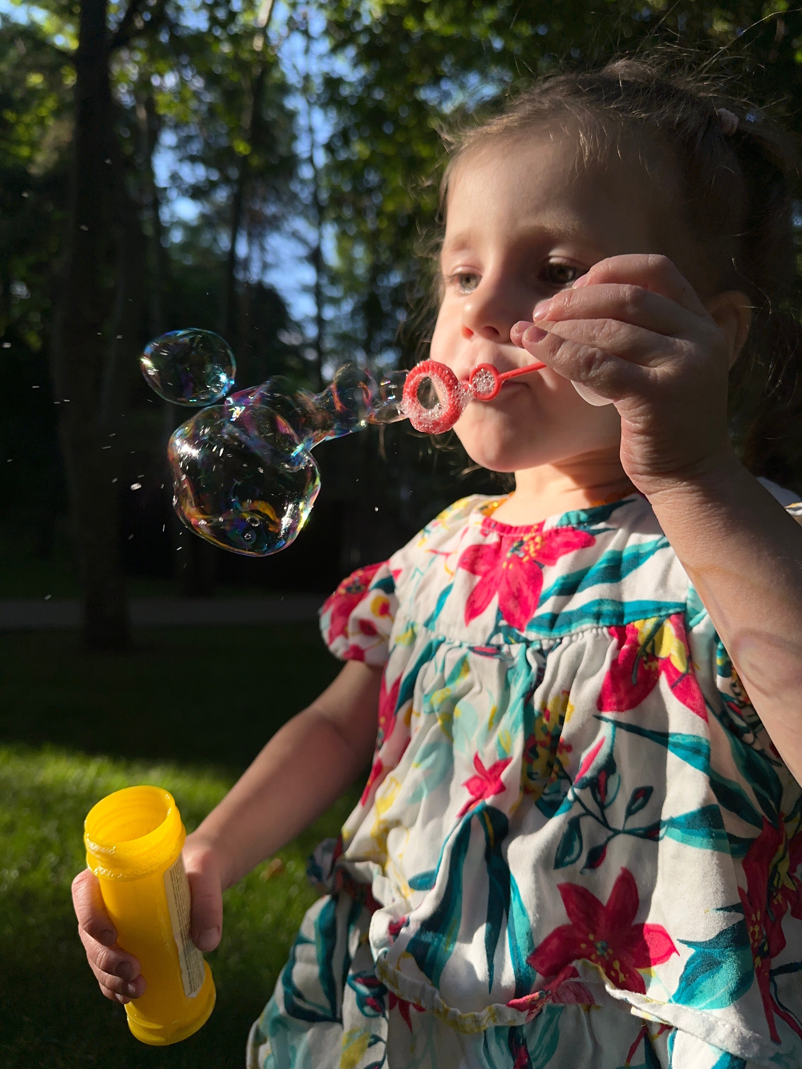 Дети. Смотри, красота!