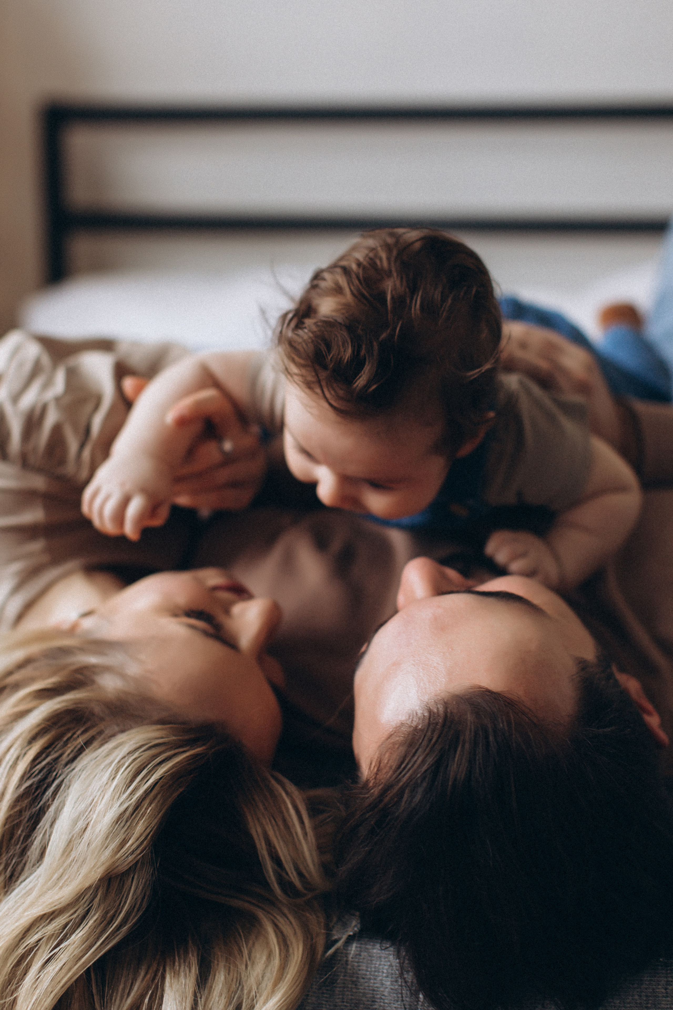 Филины. Фотограф Смоленск Москва