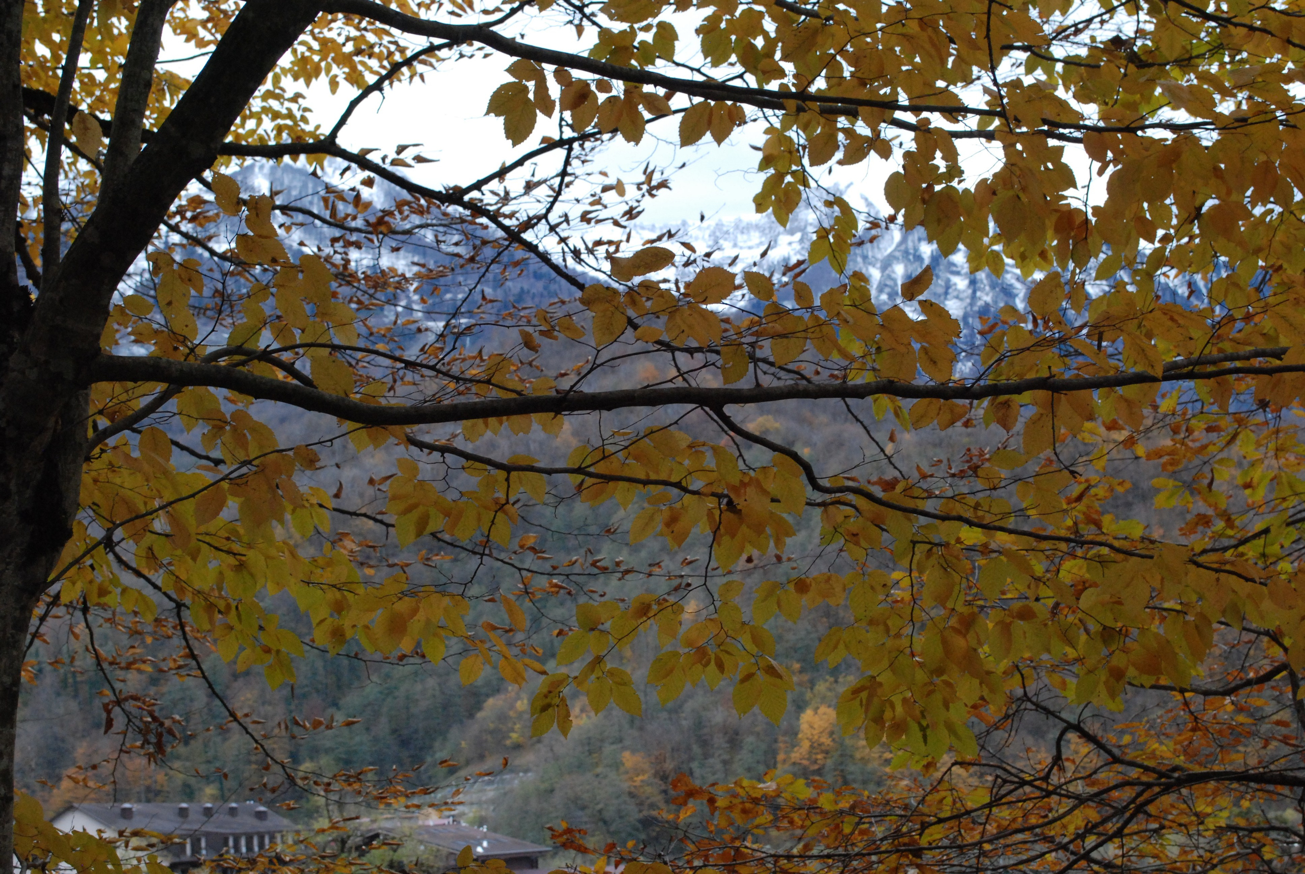 Сочи.Красная поляна. Фотопрогулка. Егор. Индивидуальная и Семейная Фотосъёмка для каждого