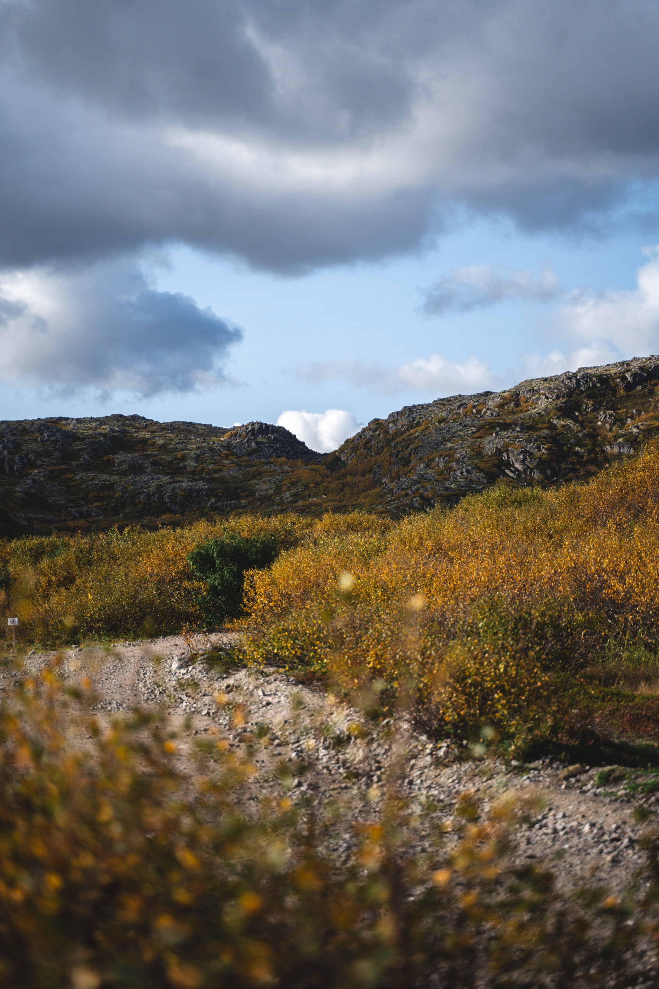 Териберка 2023. Фотограф Ольга Пучкова