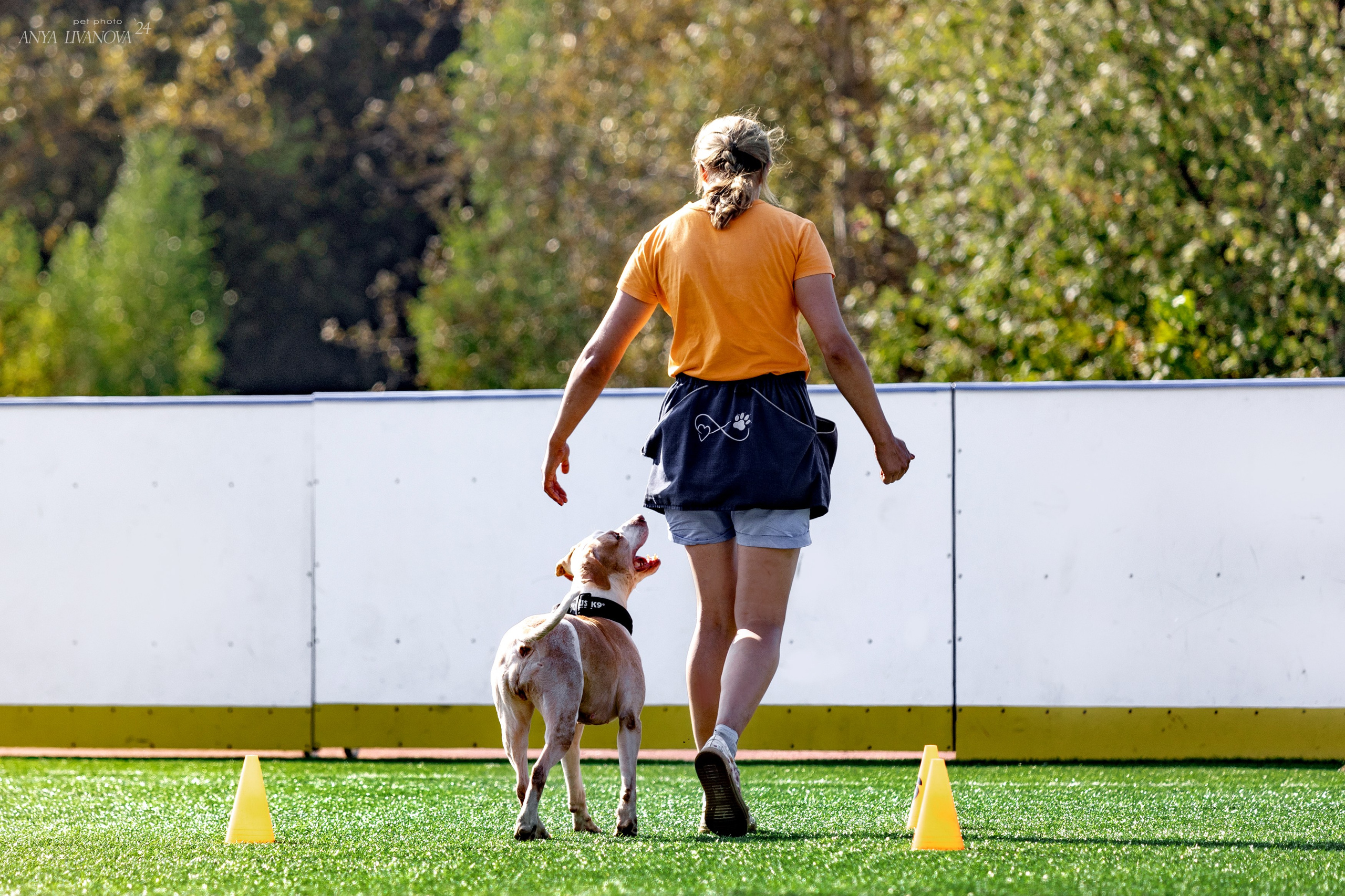 Ралли обидиенс. Фотограф анималист Аня Ливанова | Рыбинск
