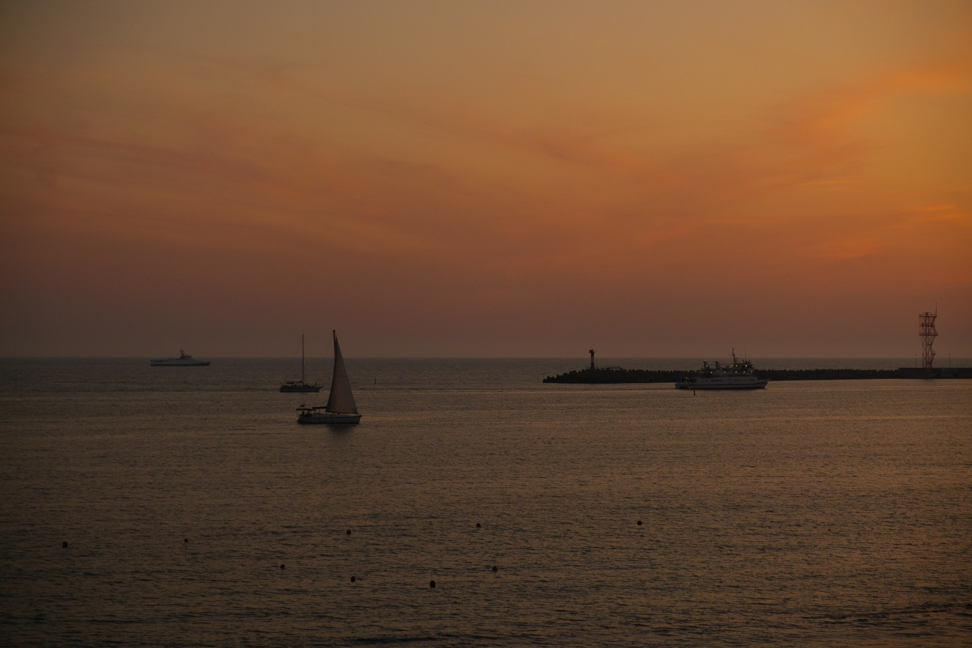 Dior. Свадебный Видеограф Фотограф в Сочи