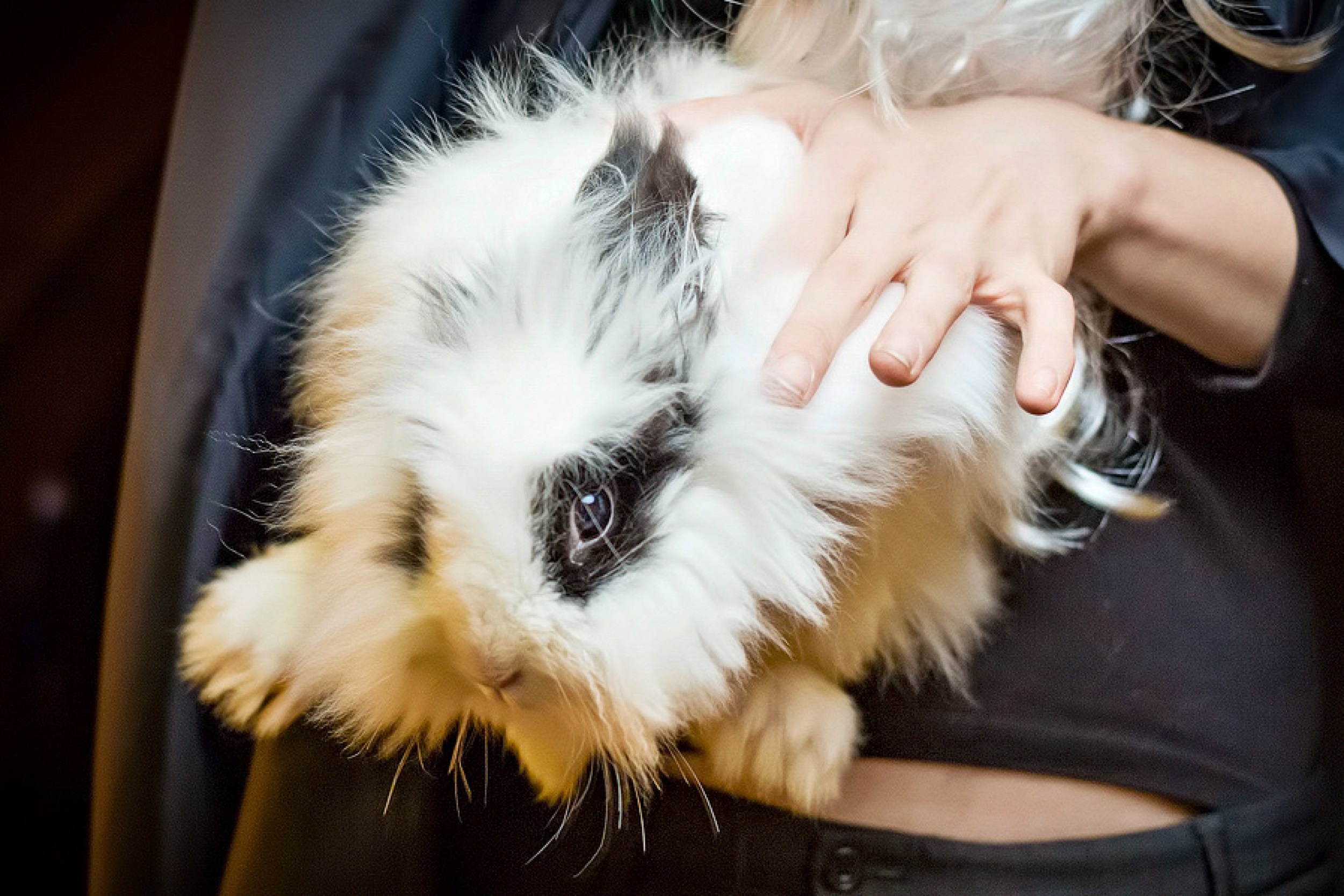 Геворк Багдасаров — фотограф в Москве