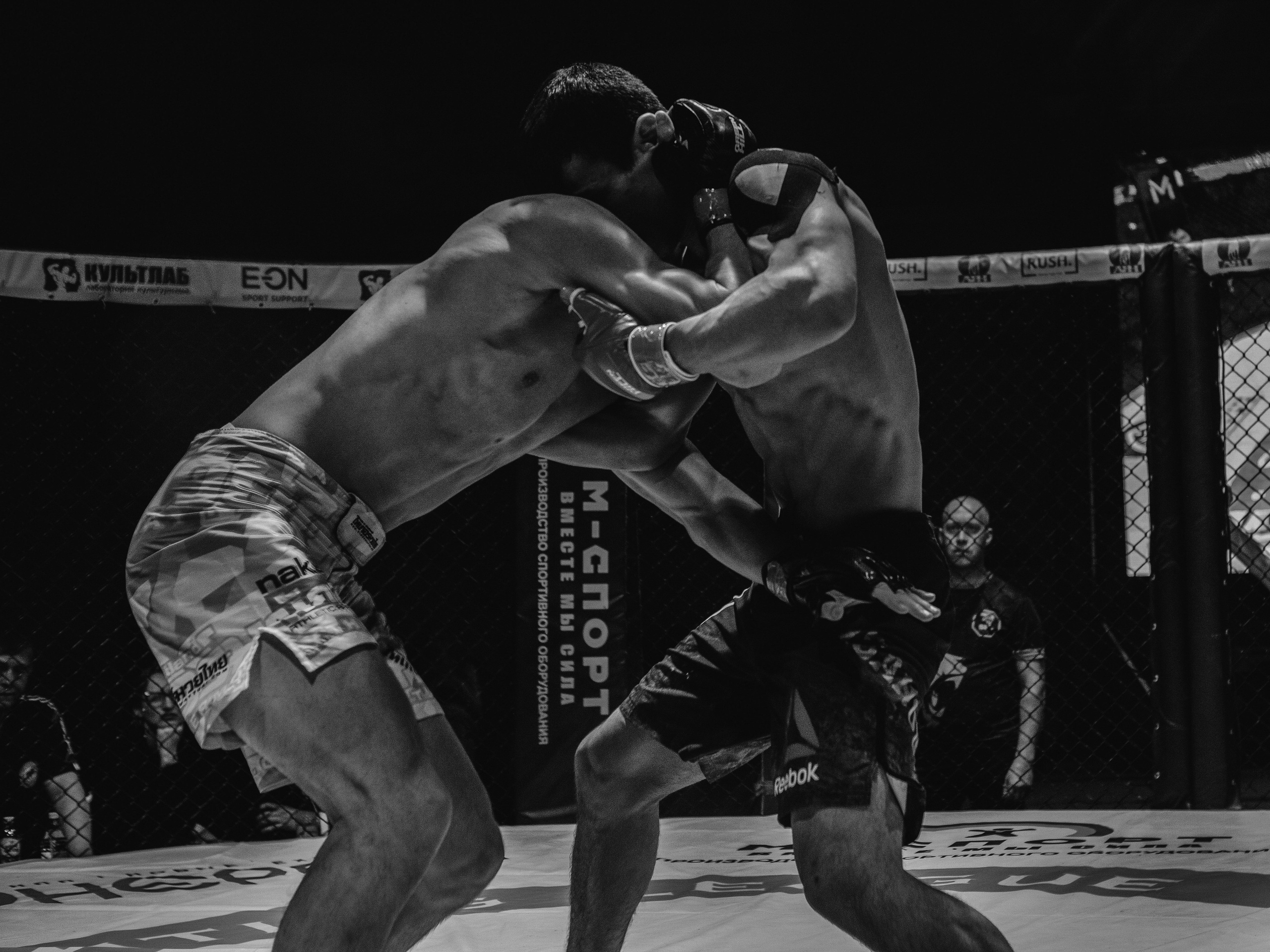 SFL 17 | Siberian Fighting League. Портретный фотограф в Москве Дарья Цезария