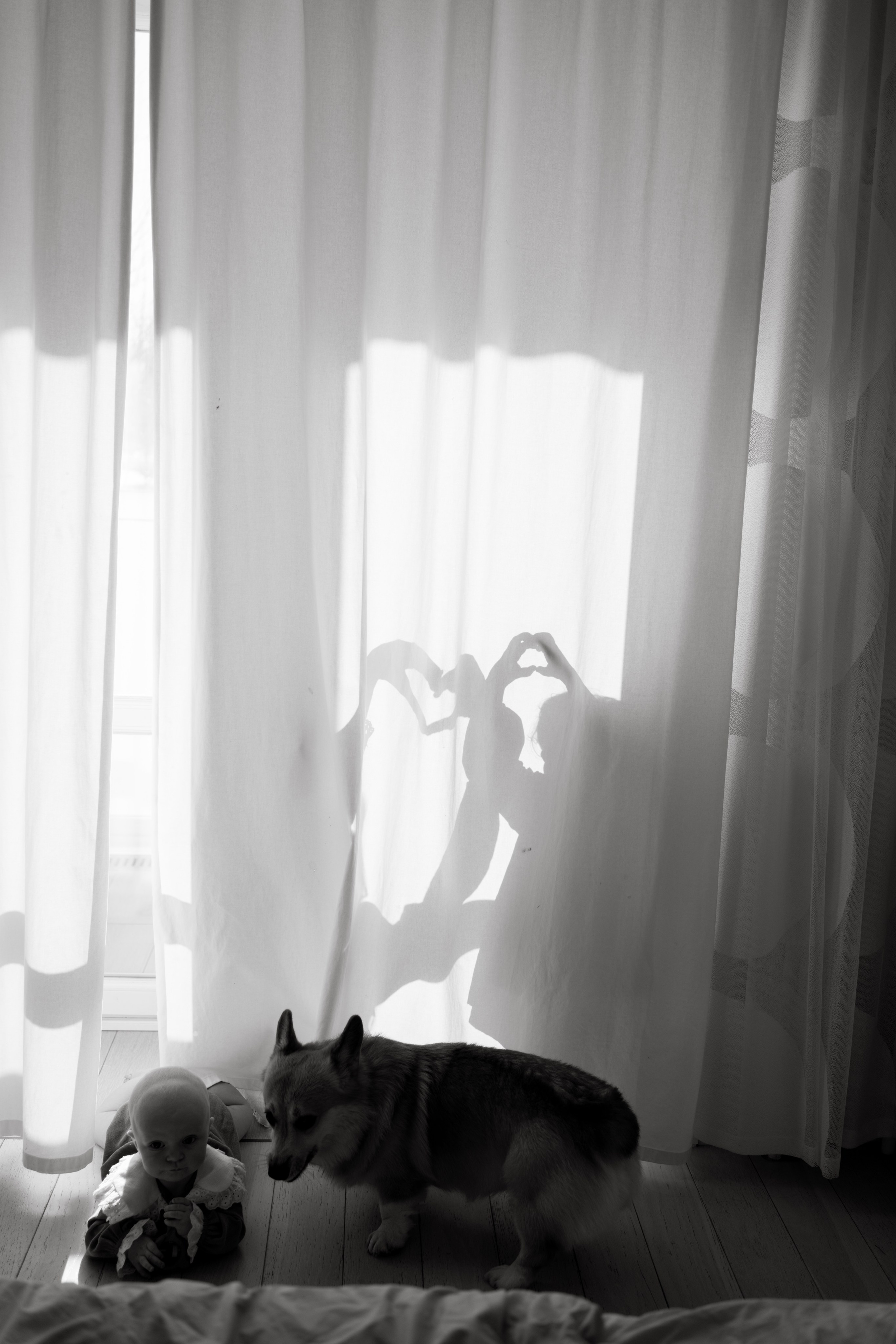 Мария, Ева и София. Семейный и детский фотограф Плесецк, Мирный Марина Забабурина