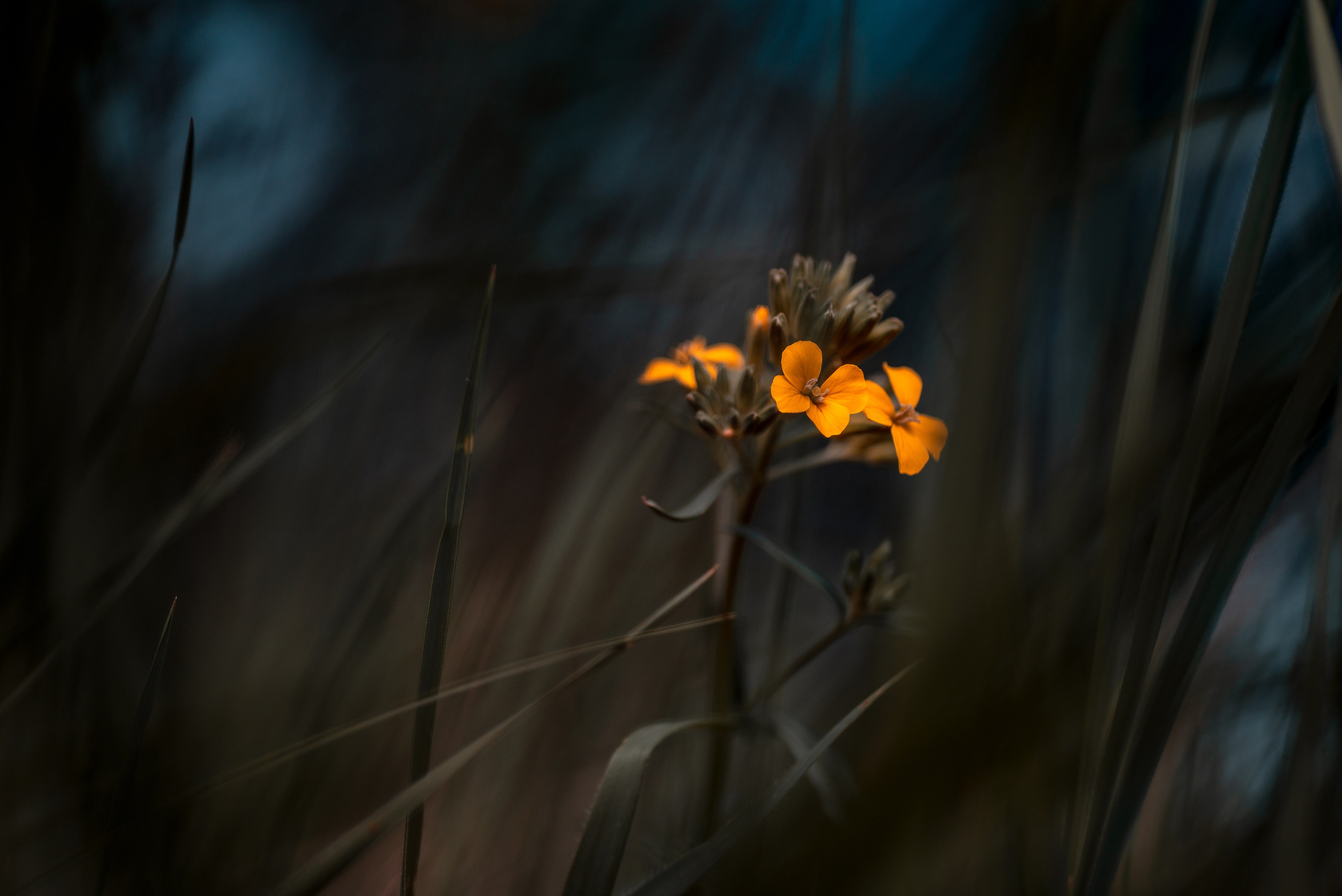 Природа. Фотограф Таинства Крещения в Саратове Ильченко Артем