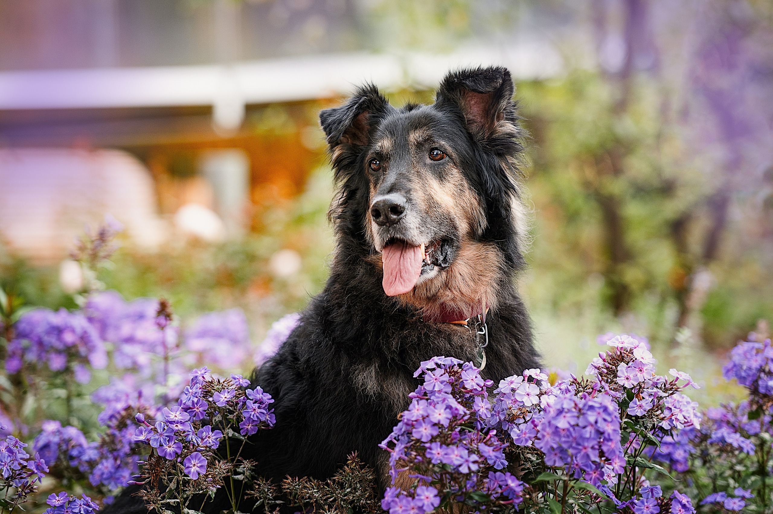 Алиса на ВДНХ. Фотограф-анималист