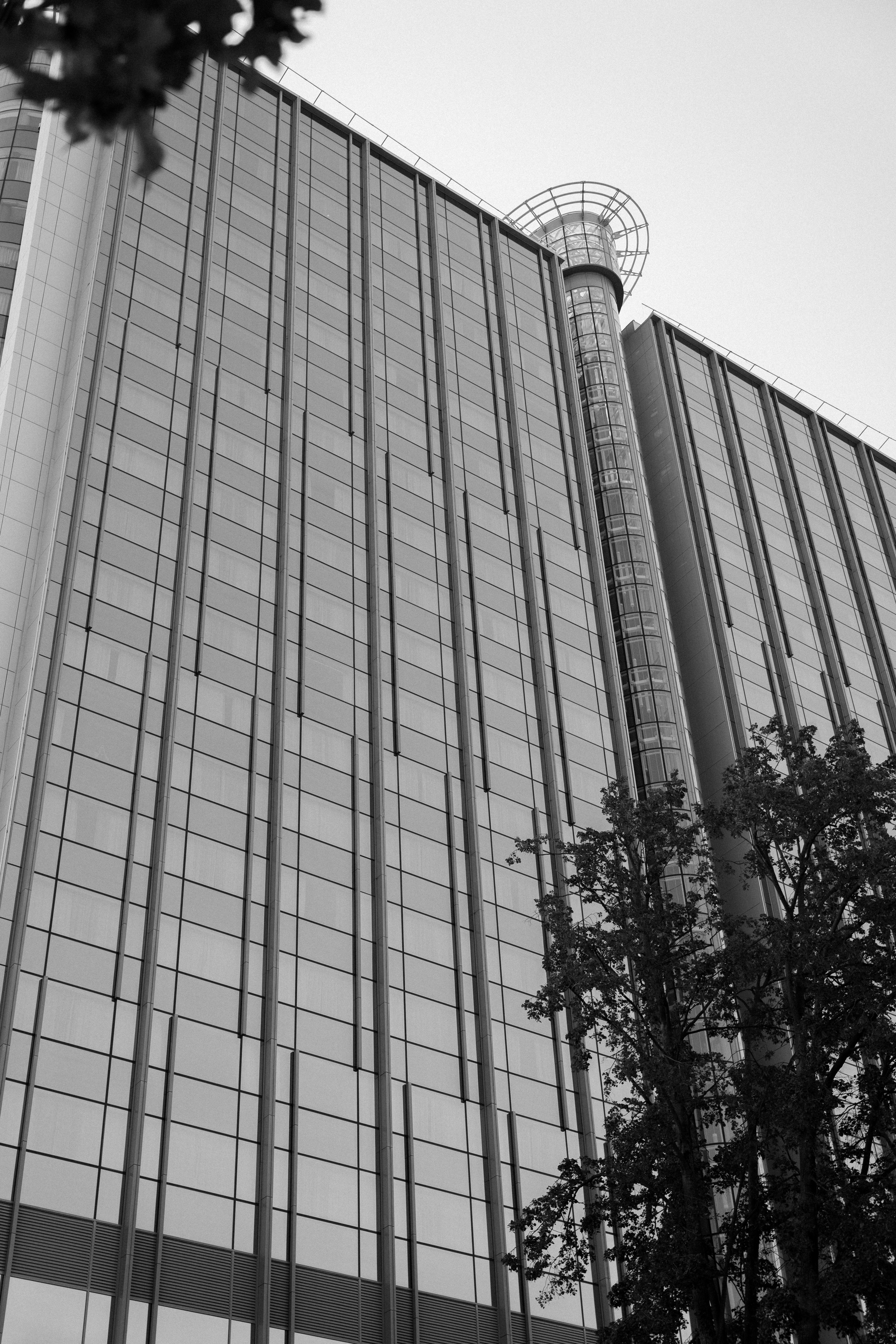 Ирина & Анатолий «Камерная свадьба». Свадебный фотограф в Краснодаре