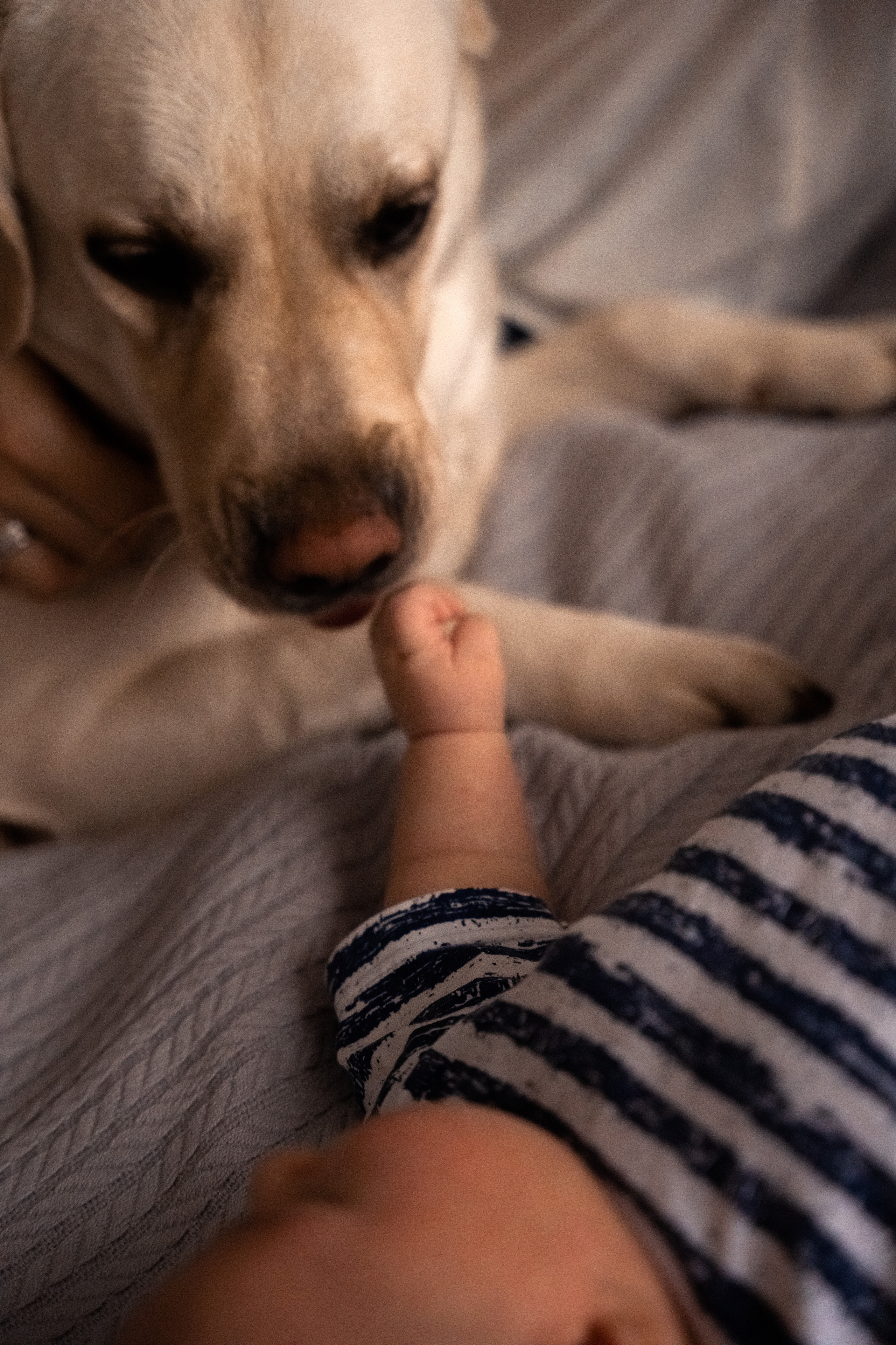 Василий. Фотограф в Ульяновске Александра Григоровских