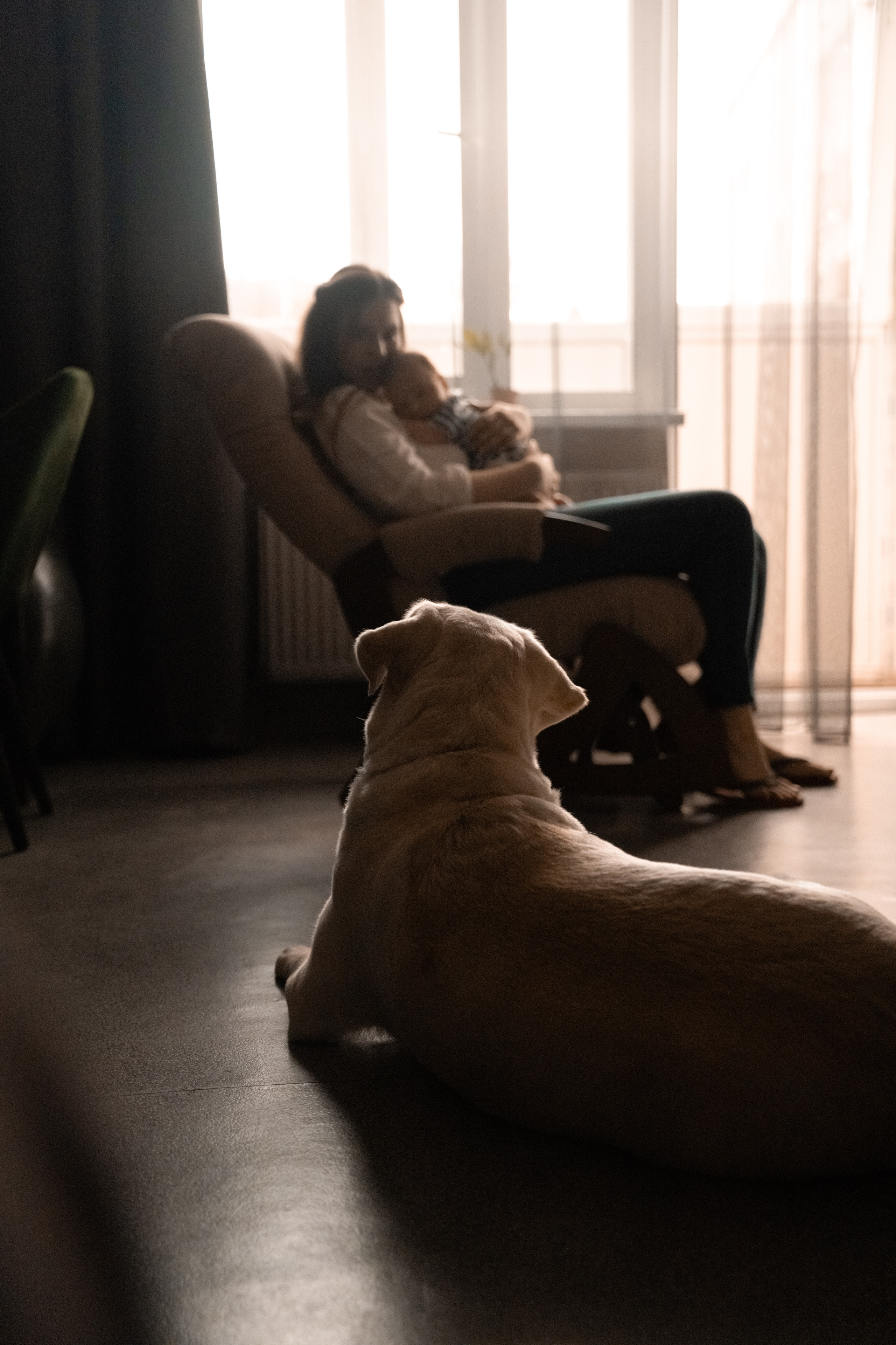 Василий. Фотограф в Ульяновске Александра Григоровских