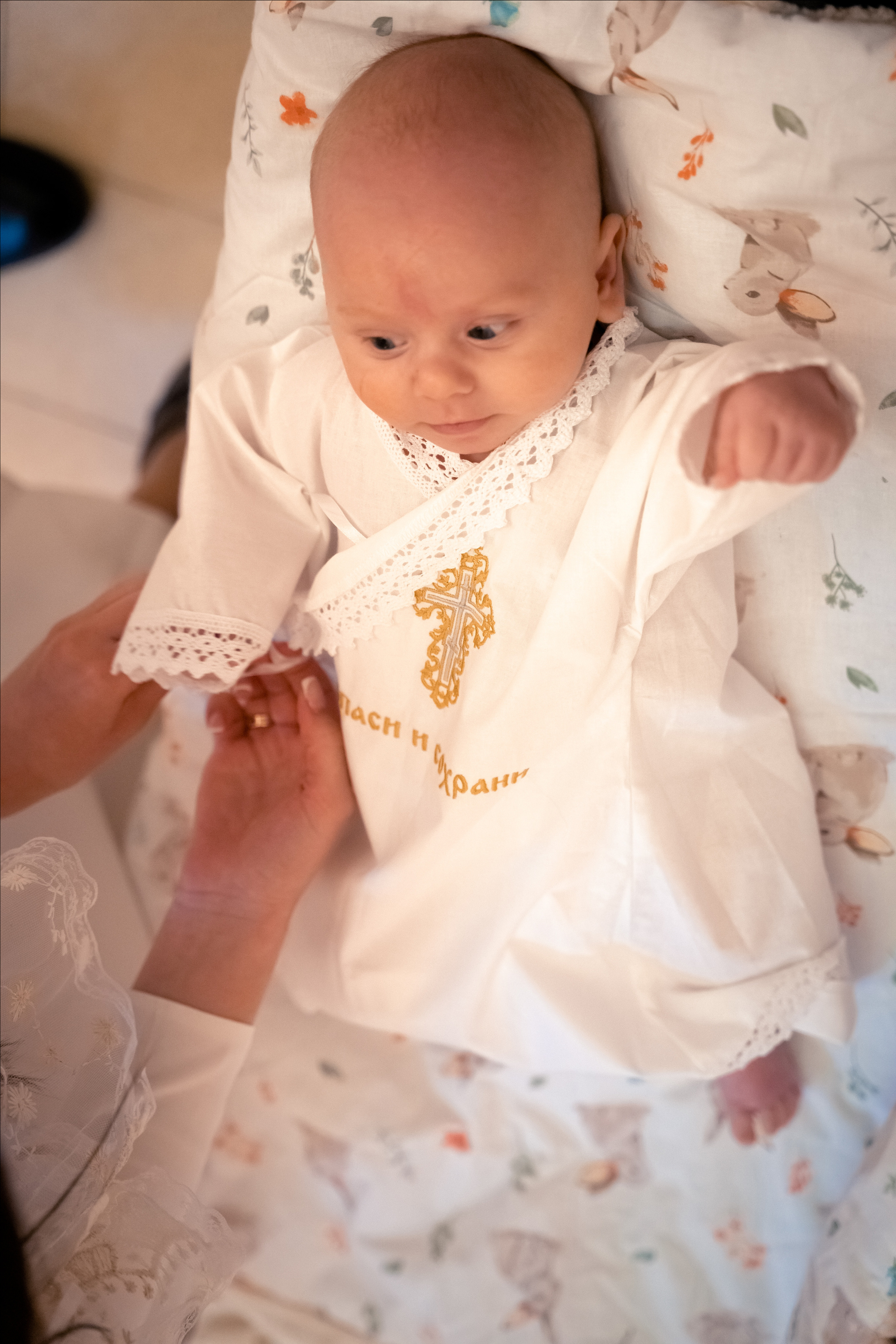 Тимофей. Фотограф в Ульяновске Александра Григоровских