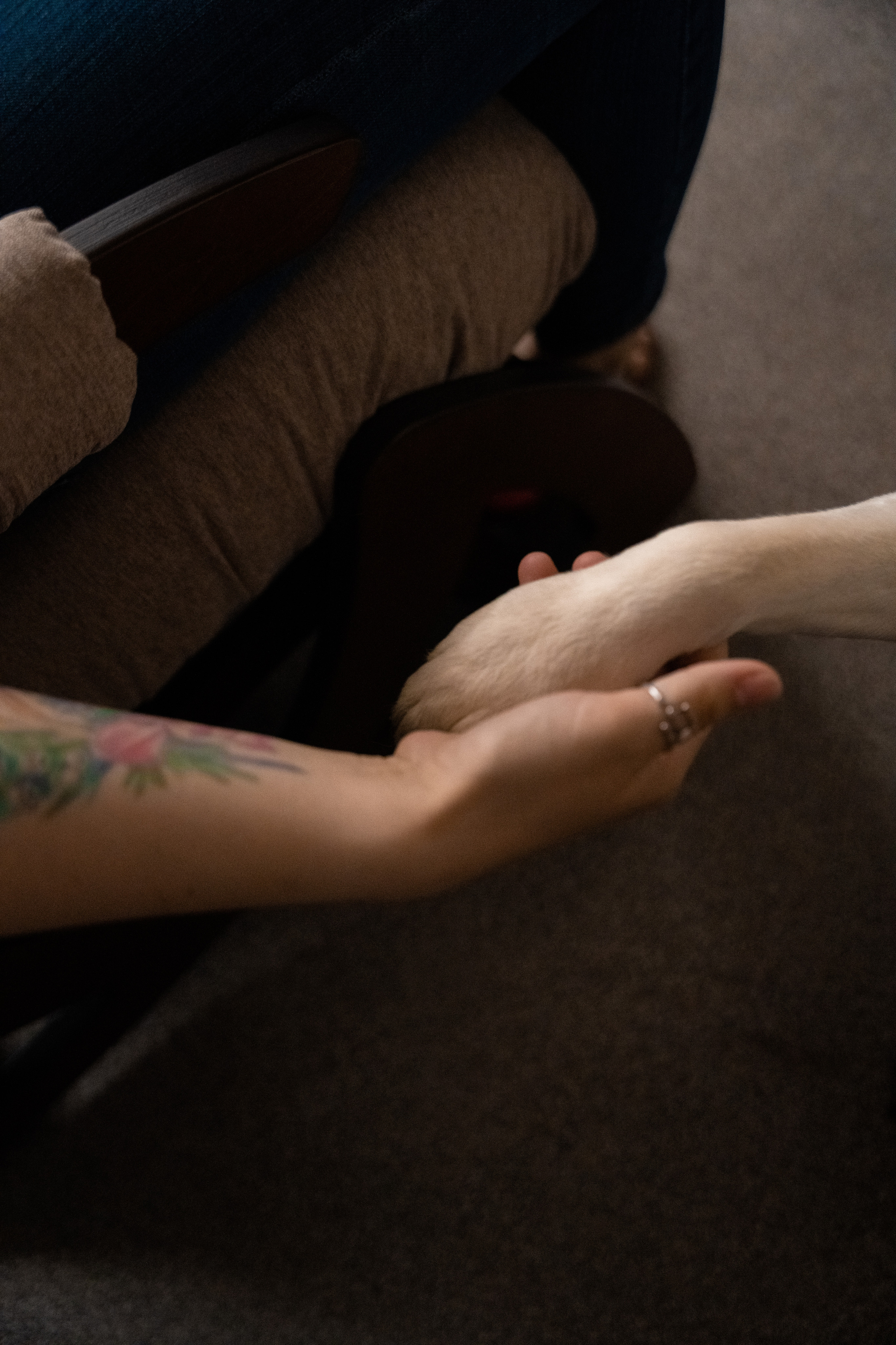 Василий. Фотограф в Ульяновске Александра Григоровских