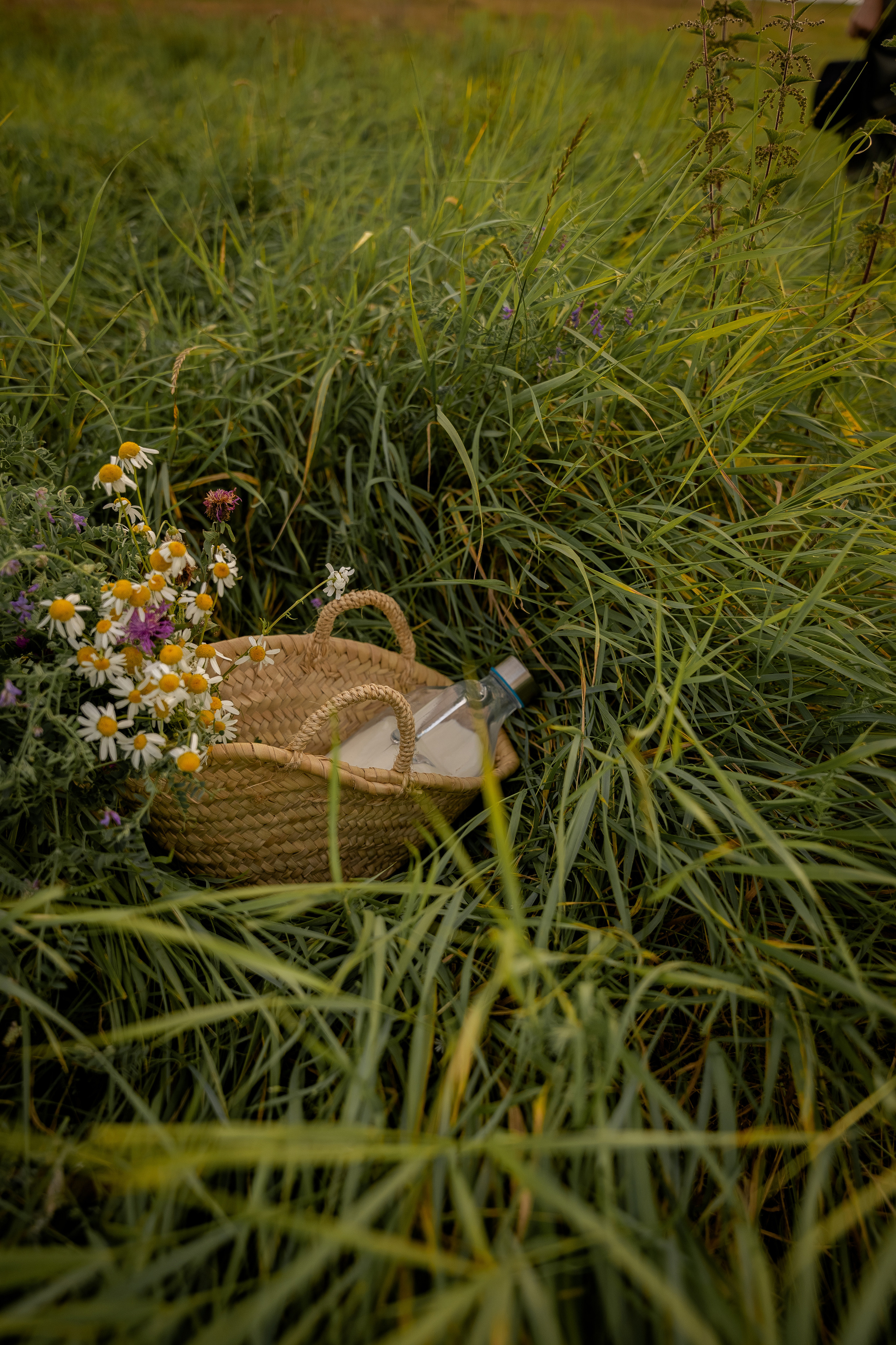 Татьяна. Фотограф в Ульяновске Александра Григоровских