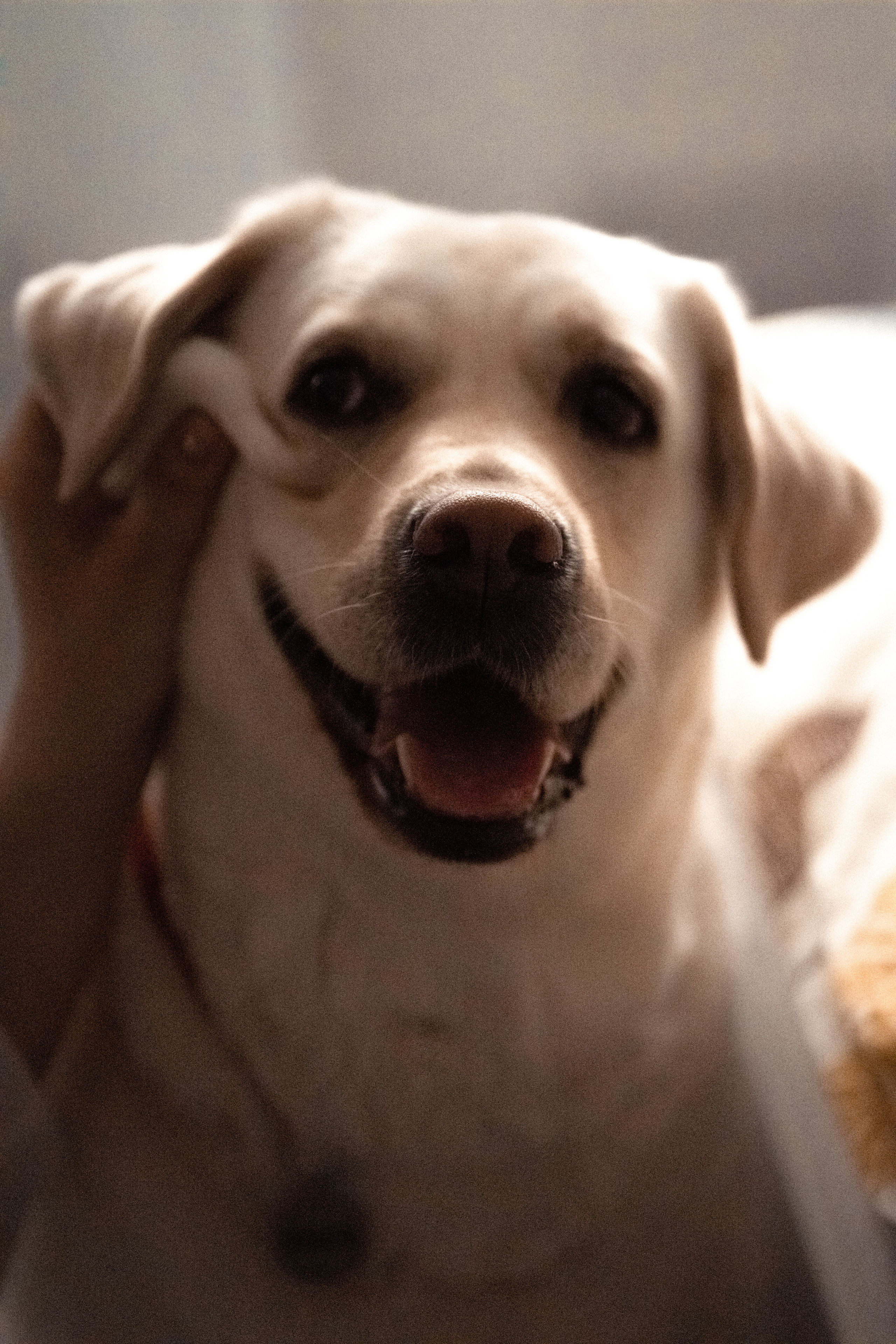 Василий. Фотограф в Ульяновске Александра Григоровских