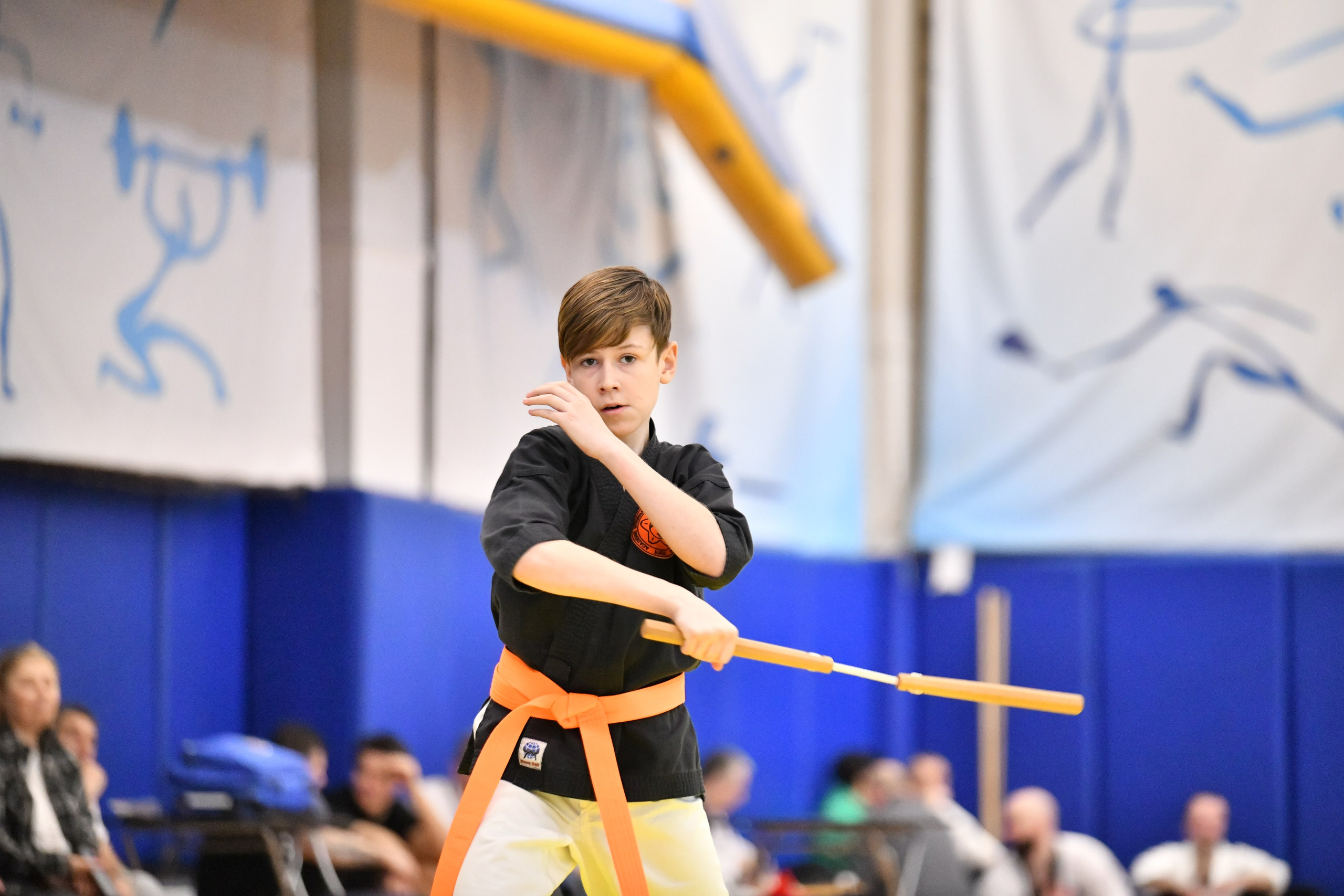 Карате. XXIII фестиваль школ японской борьбы. Фото детских спортивных мероприятий и всякое интересное через объектив