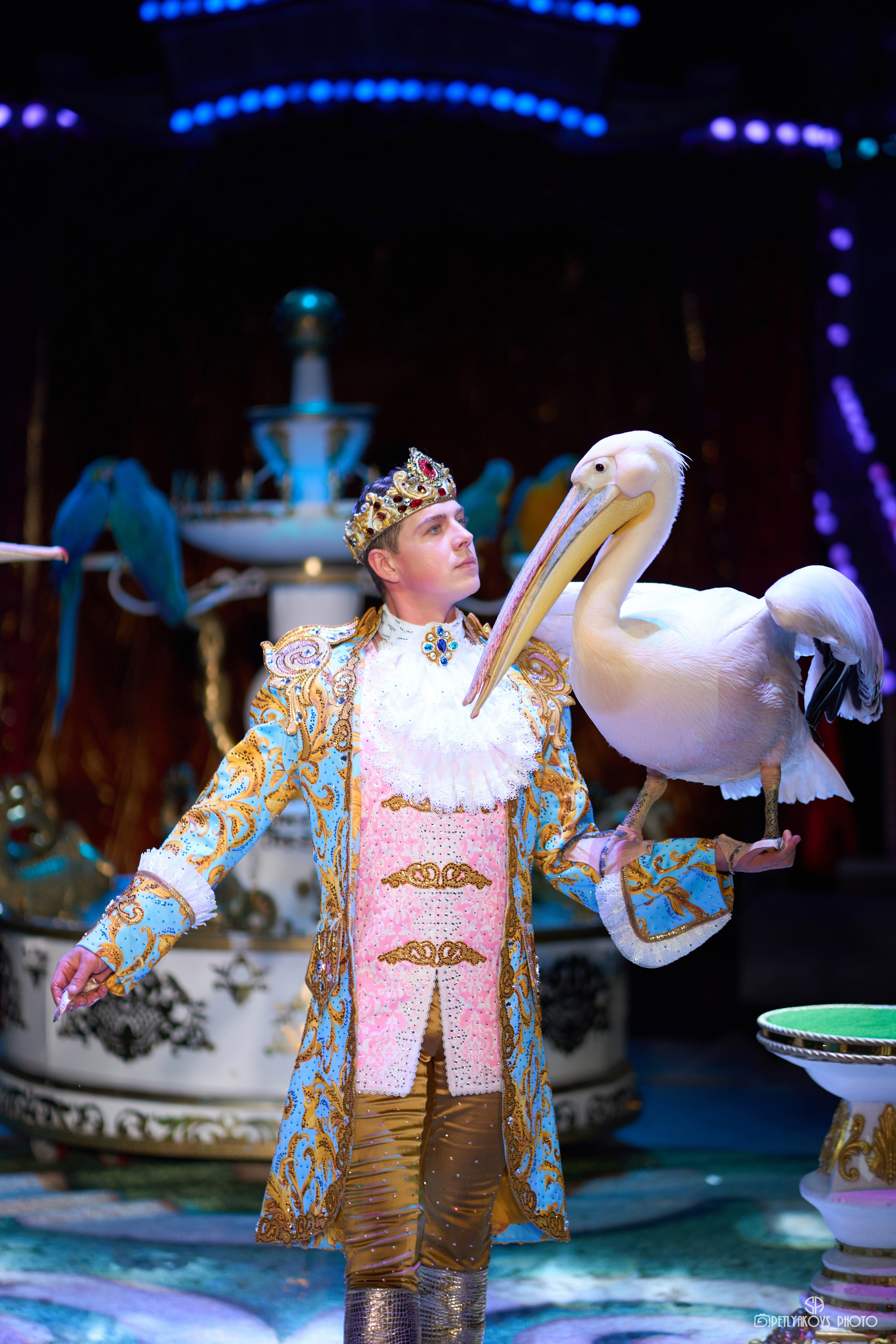 Владимир Лекарев цирк