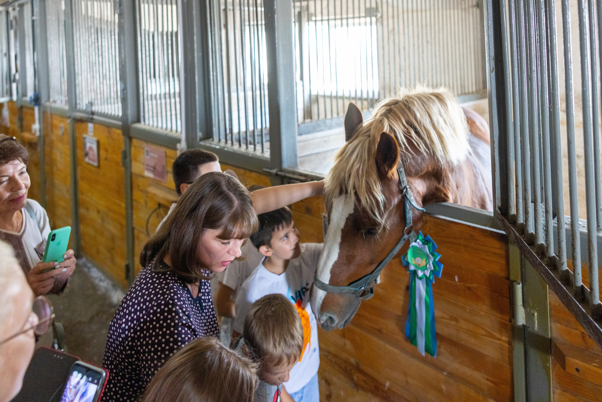 Поездка на поле Кулеково. Фотограф в Туле Крупский АнДРей. Фотостудия «КАДР71» в Туле