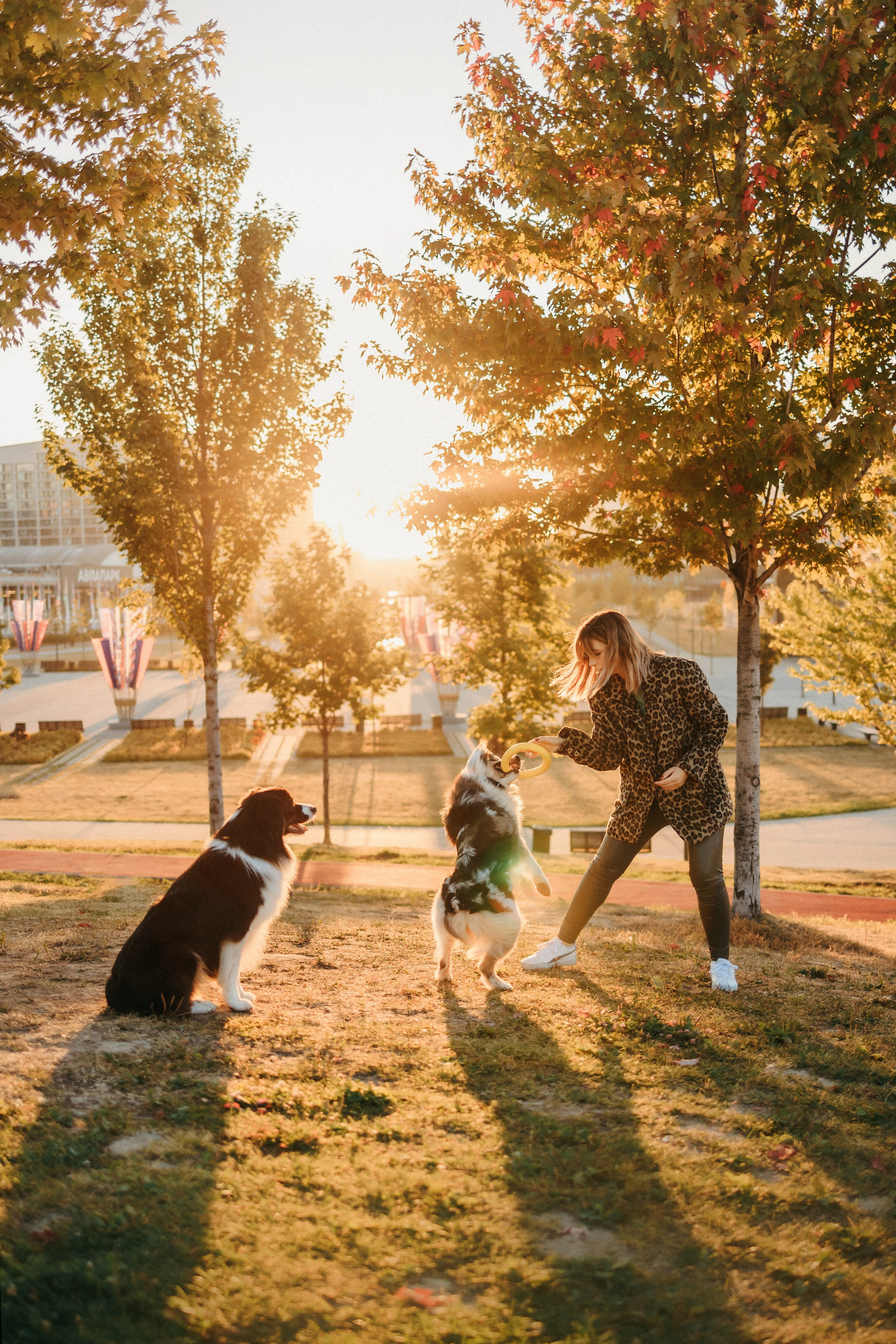 Аня, Чарли и Ева. Фотограф-анималист Елена Радченко, Москва