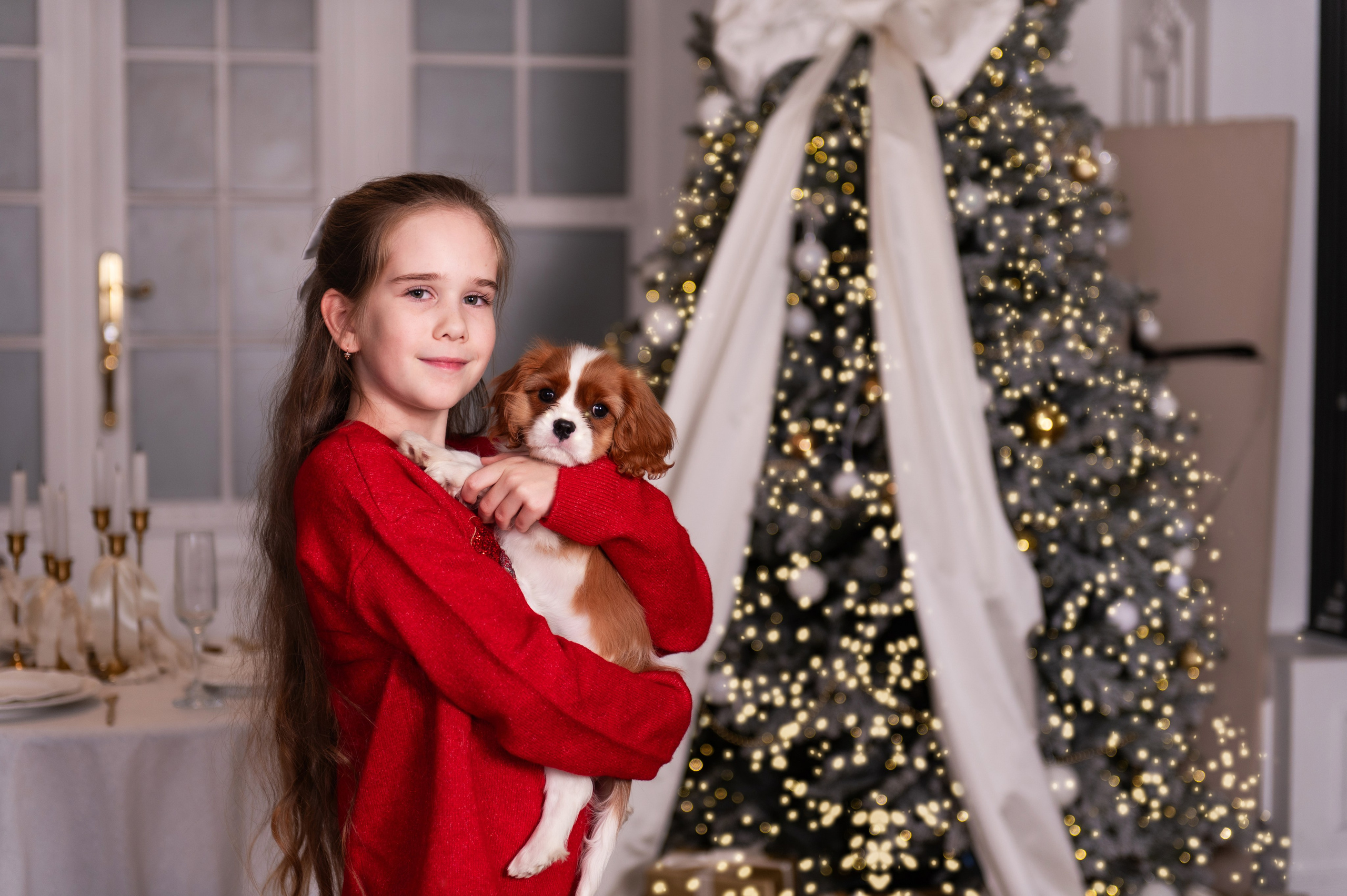 Новогодняя история с любимцем. Свадебный и семейный фотограф в Санкт-Петербурге — Мария Черепанова