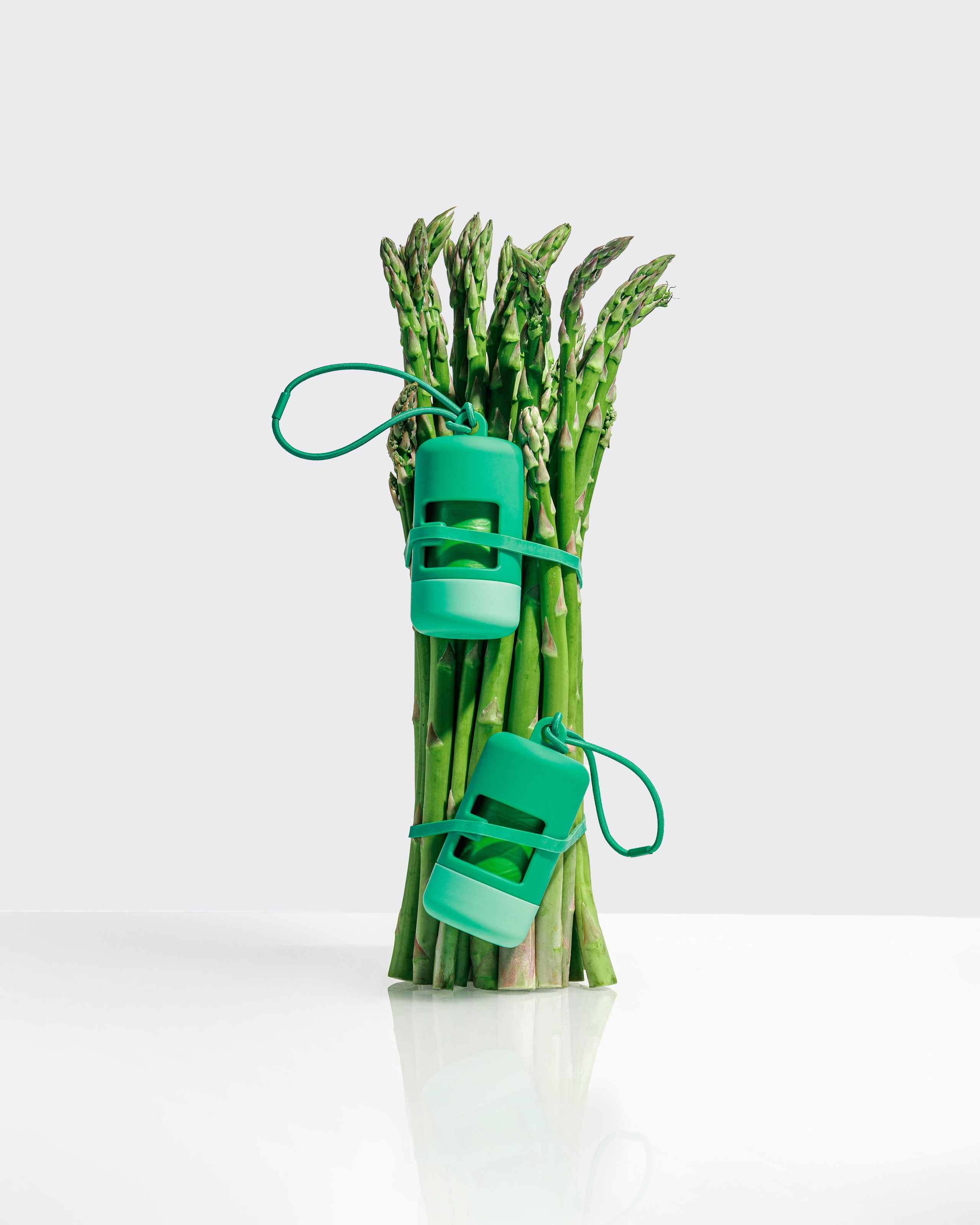 In good company для собак. Фотограф в Москве Татьяна Драгунова