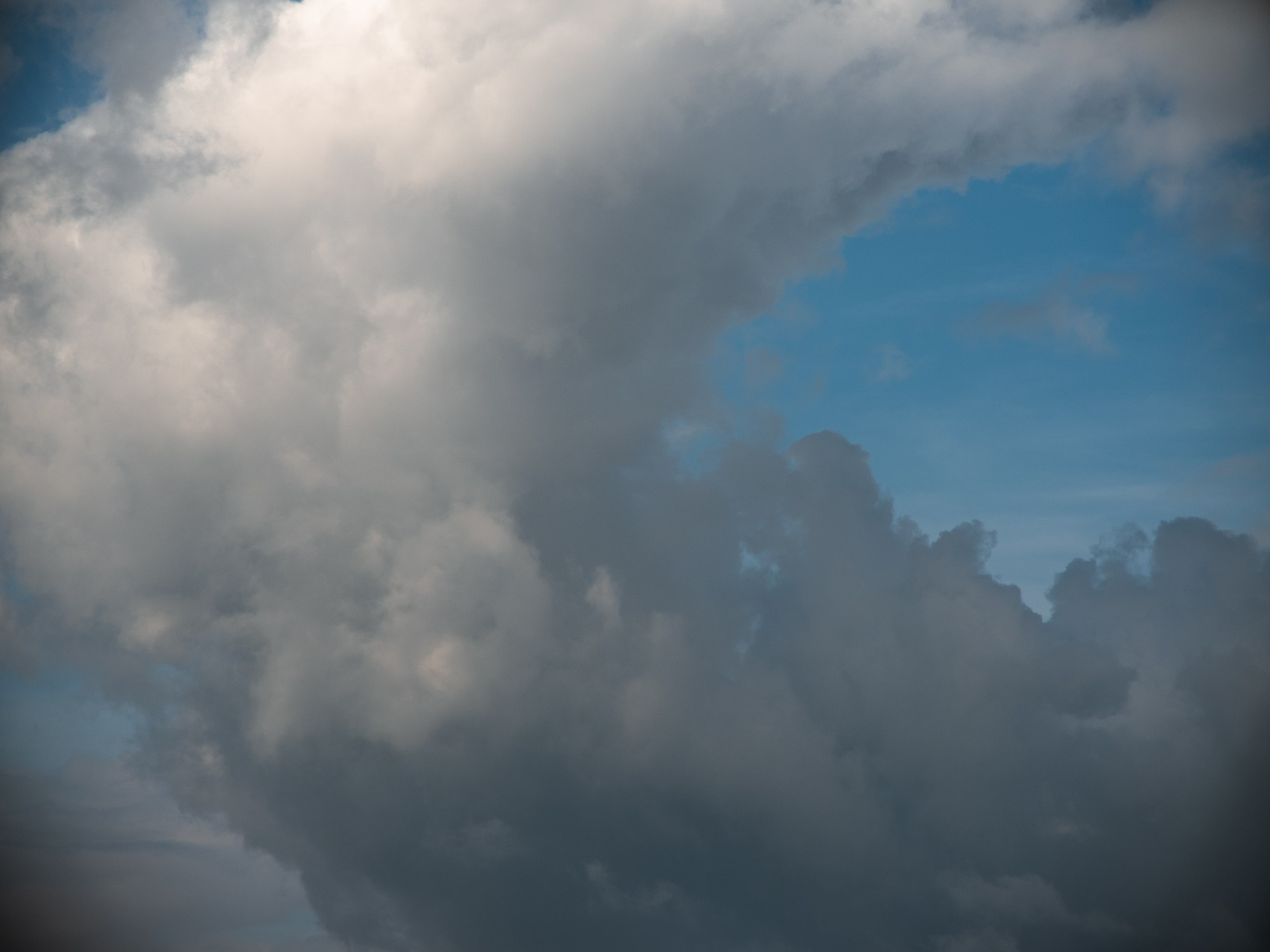 Formations. Пётр Антонов