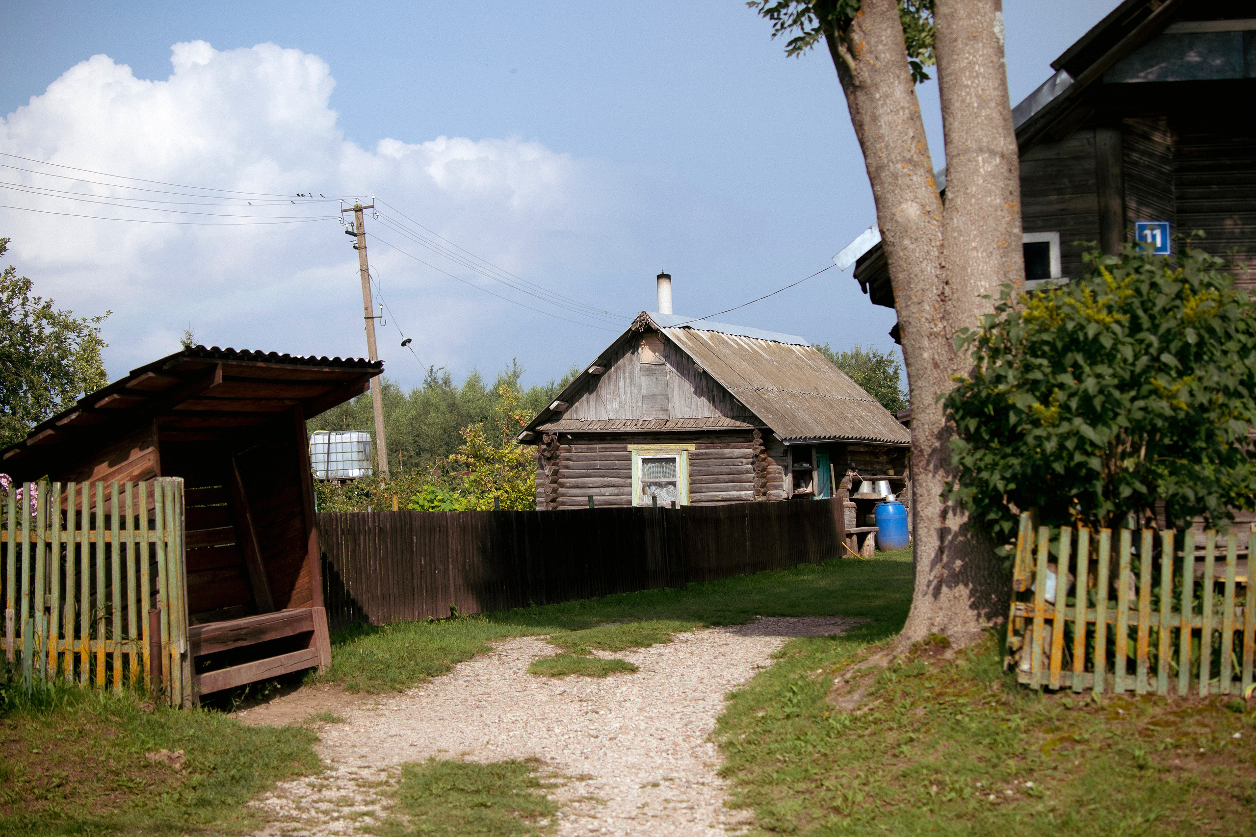 Цветные фотографии. Фотографии Лены Соколовой