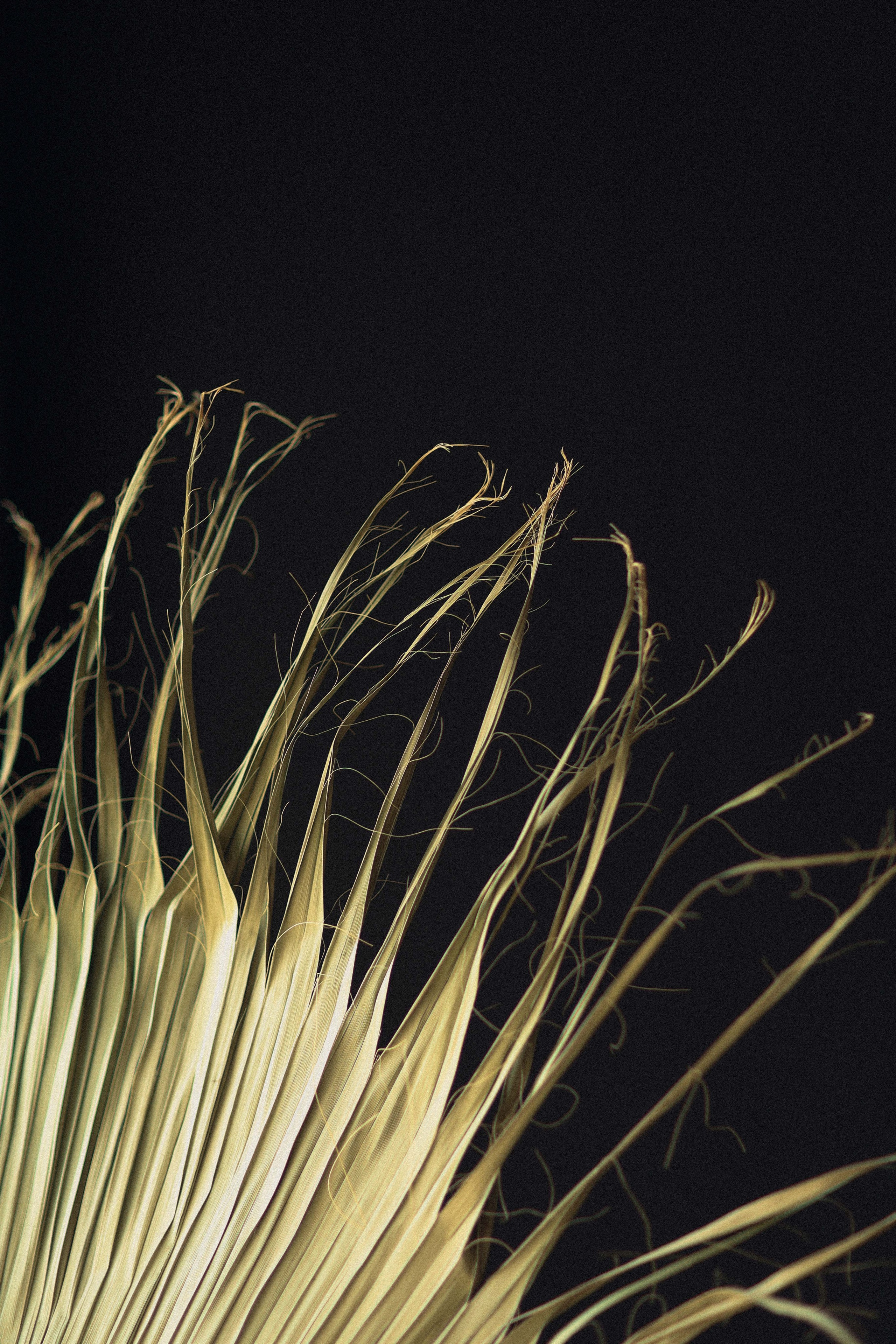 Лиза — нутрициолог. Детский и семейный фотограф, съемка новорожденных Москва