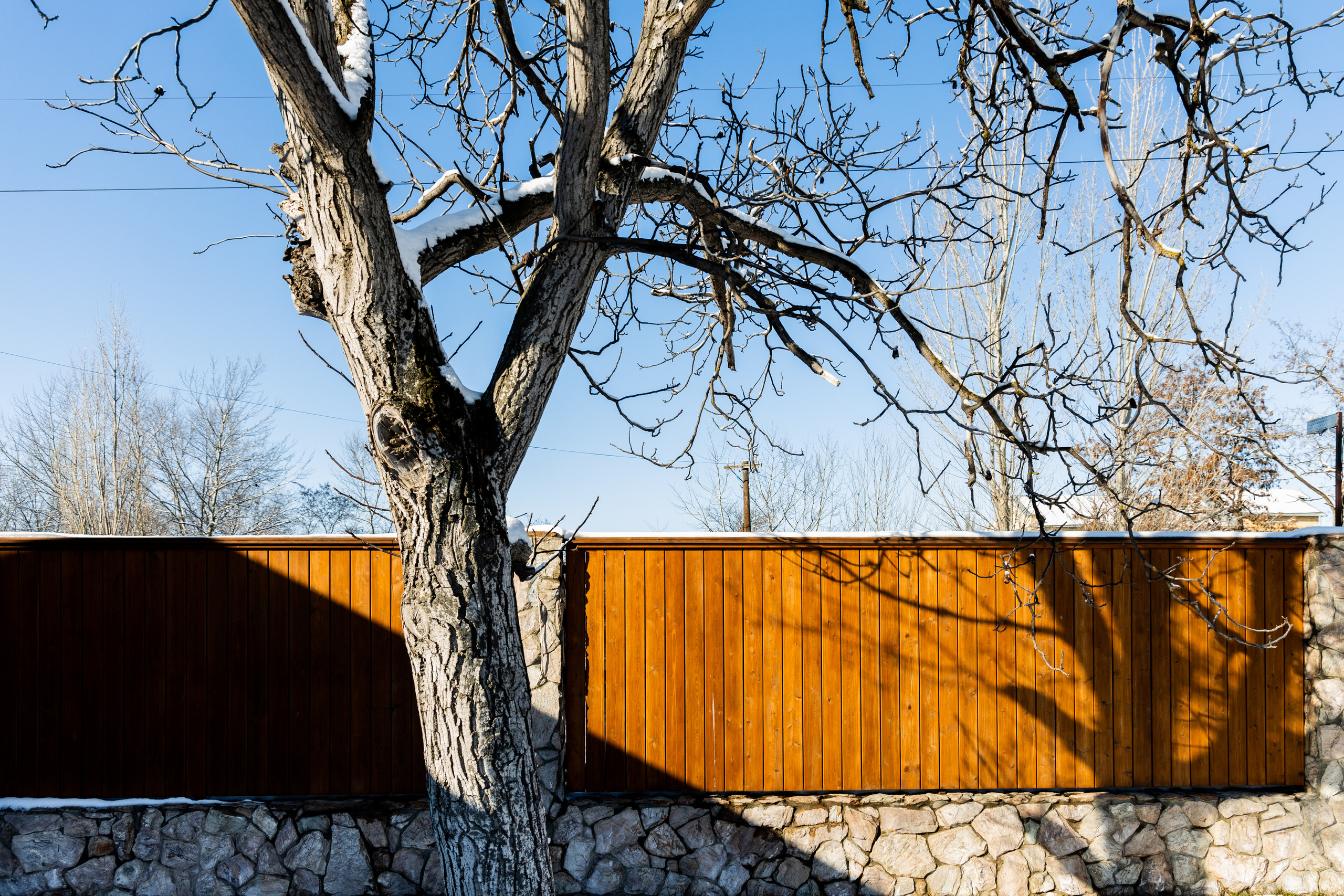 Дом. Самый свадебный фотограф