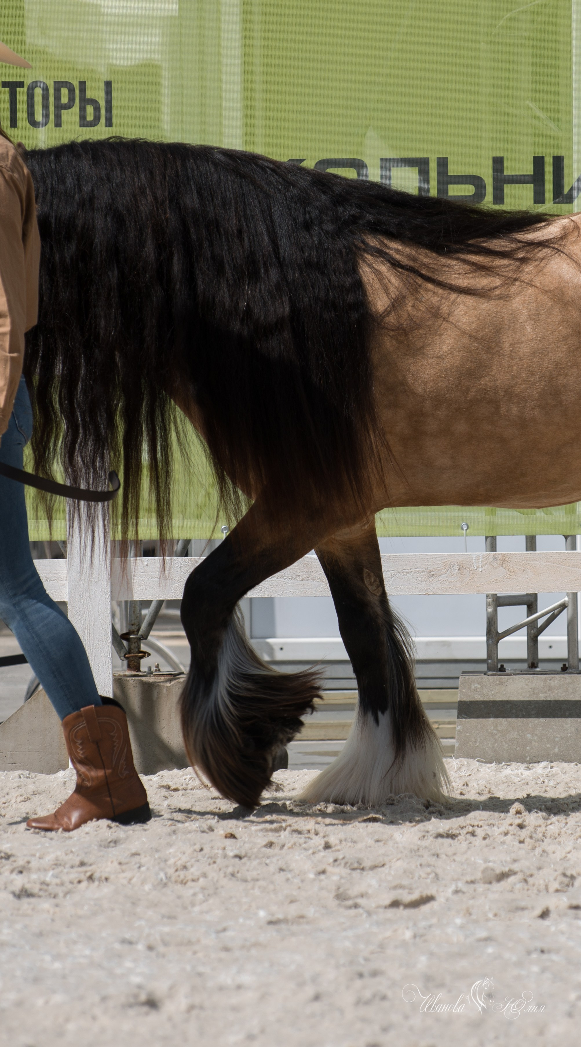 Эквирос, Москва. Конный фотограф в Саратове Юлия Иванова