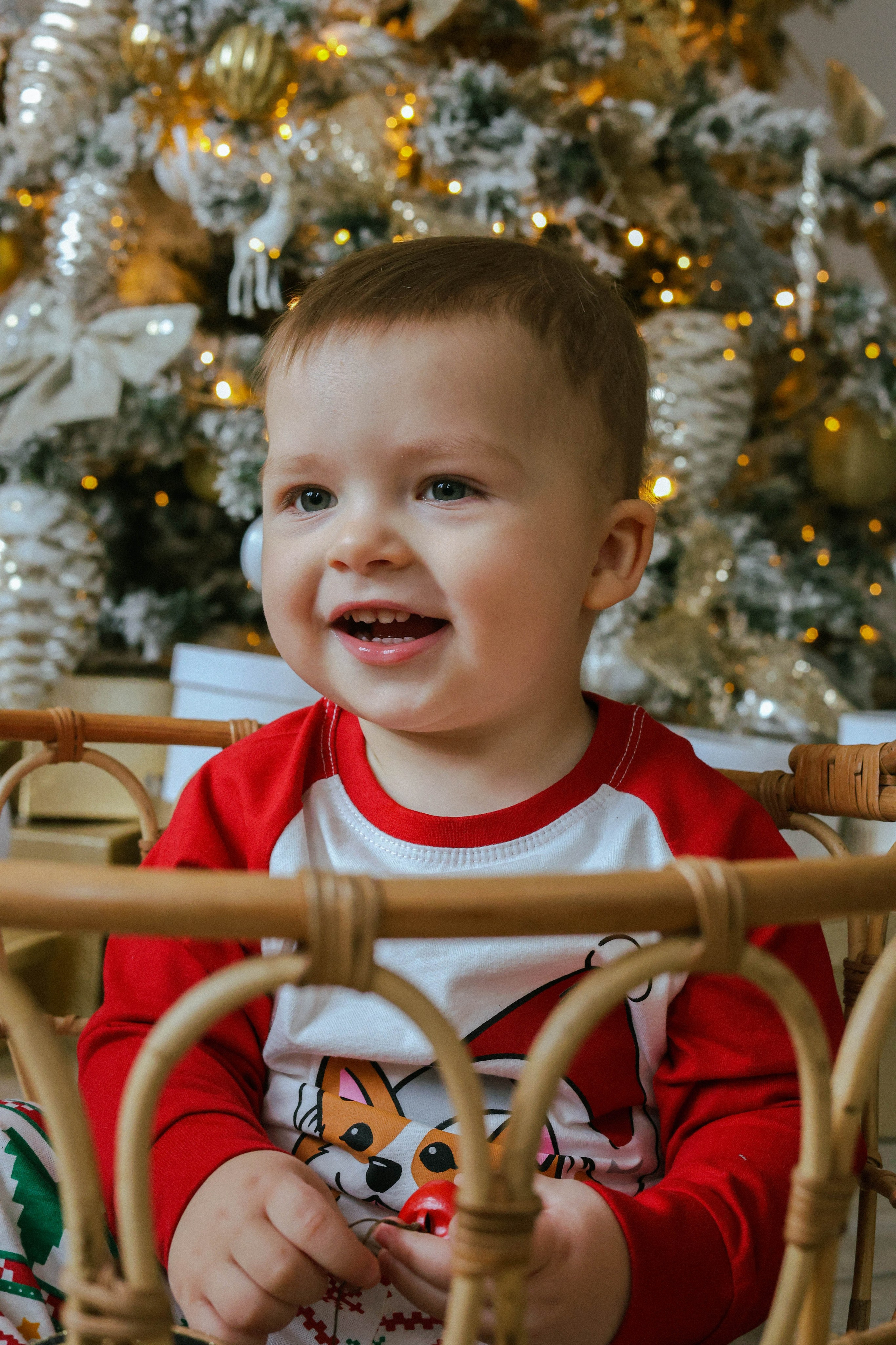 Новогодняя история «Анастасия и ее семья». Фотограф в Москве Анастасия Калинина