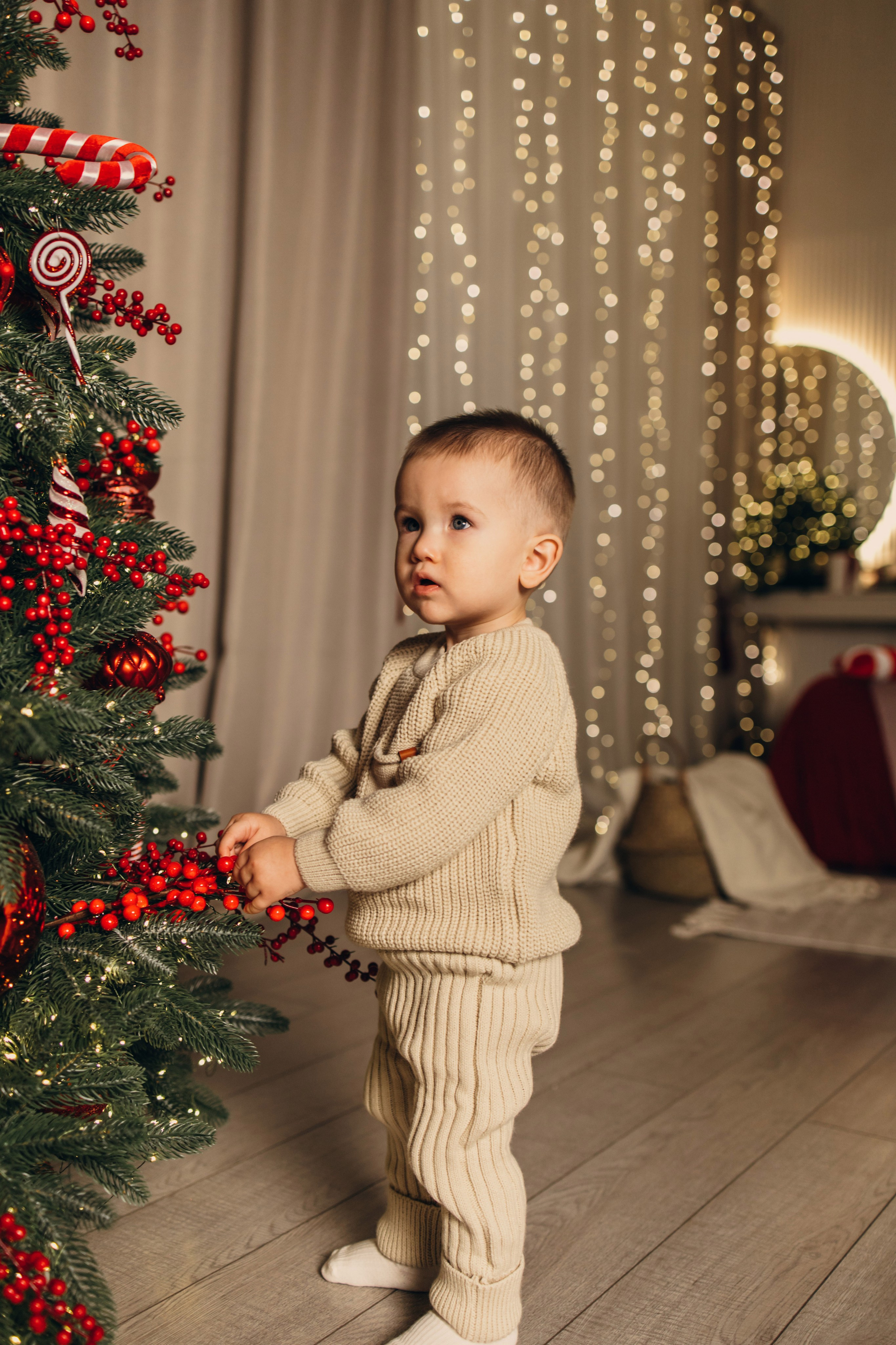 Новогодний самоед. Коновалова Ольга | фотограф в Пензе и Заречном