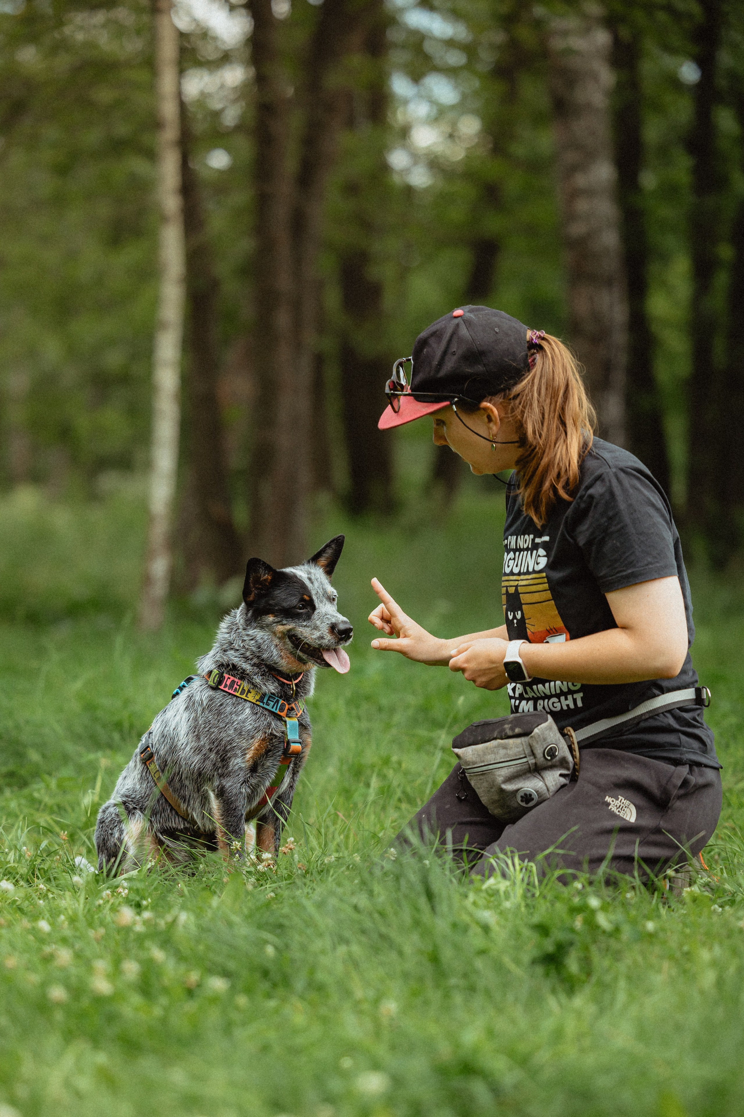 Выездной дог-тренинг от школы «Шерсть имею»