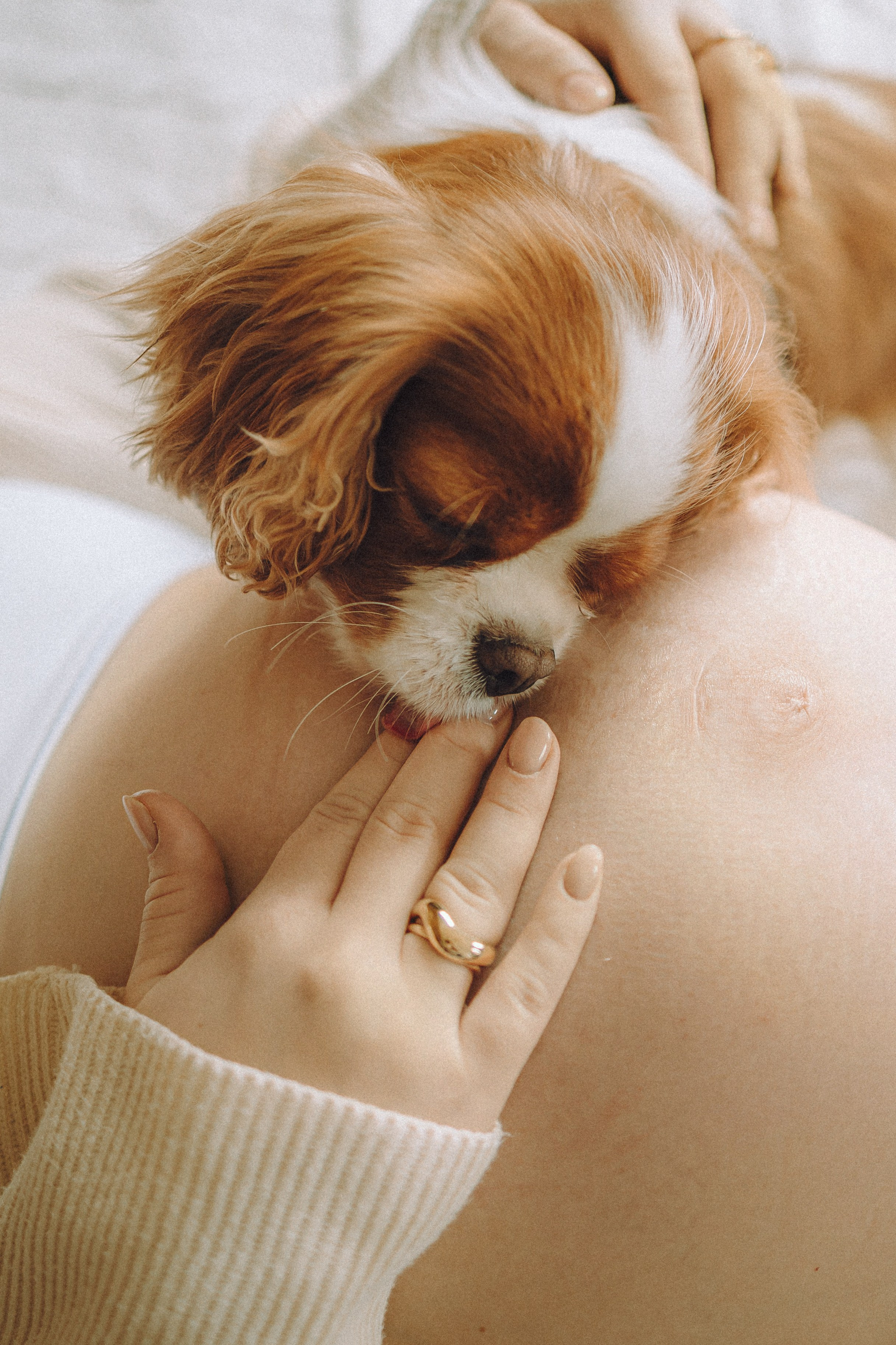 Валя, Вася, Аня и Ириска