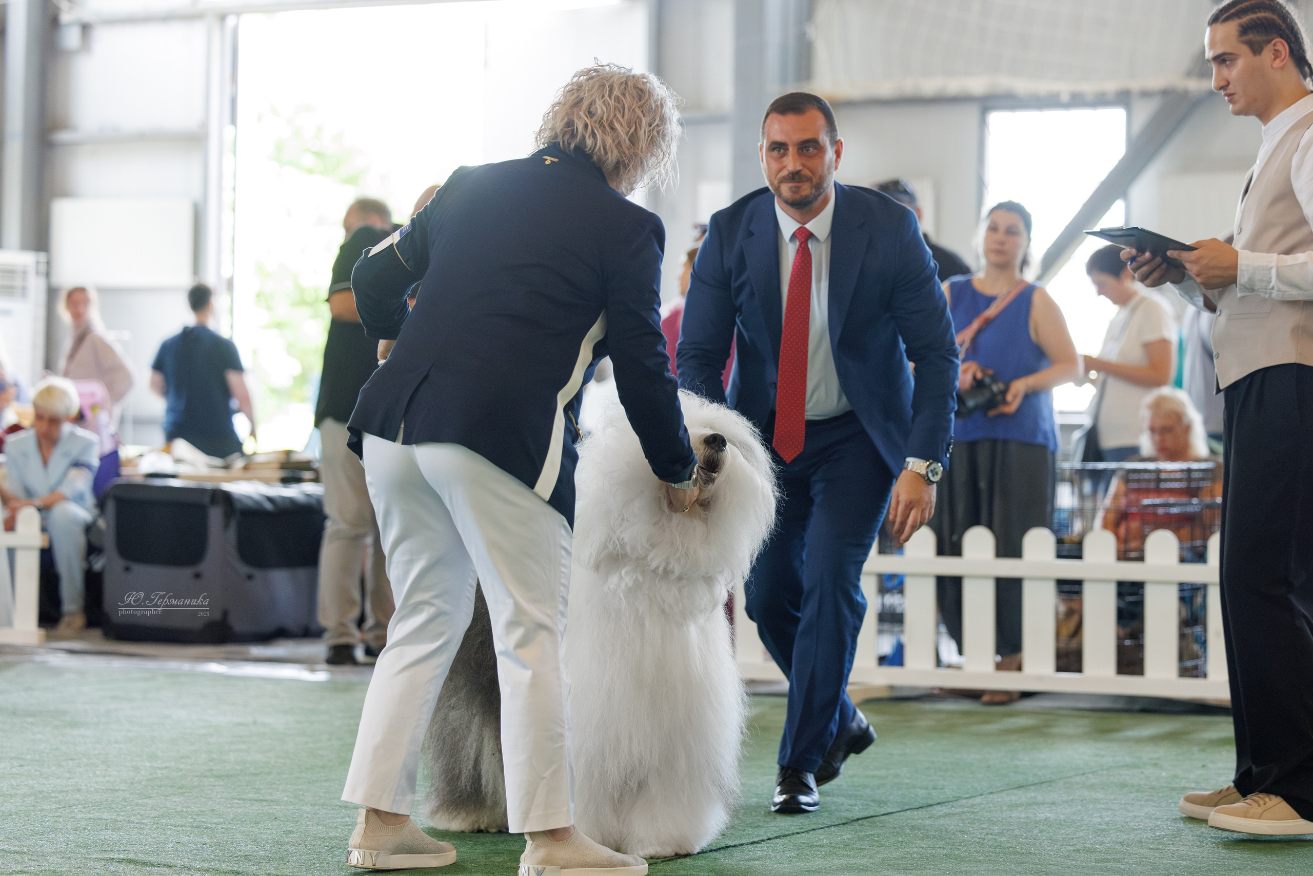 Батуми 3хCACIB 27-29.06.2025. Фотограф-анималист Юлия Германика