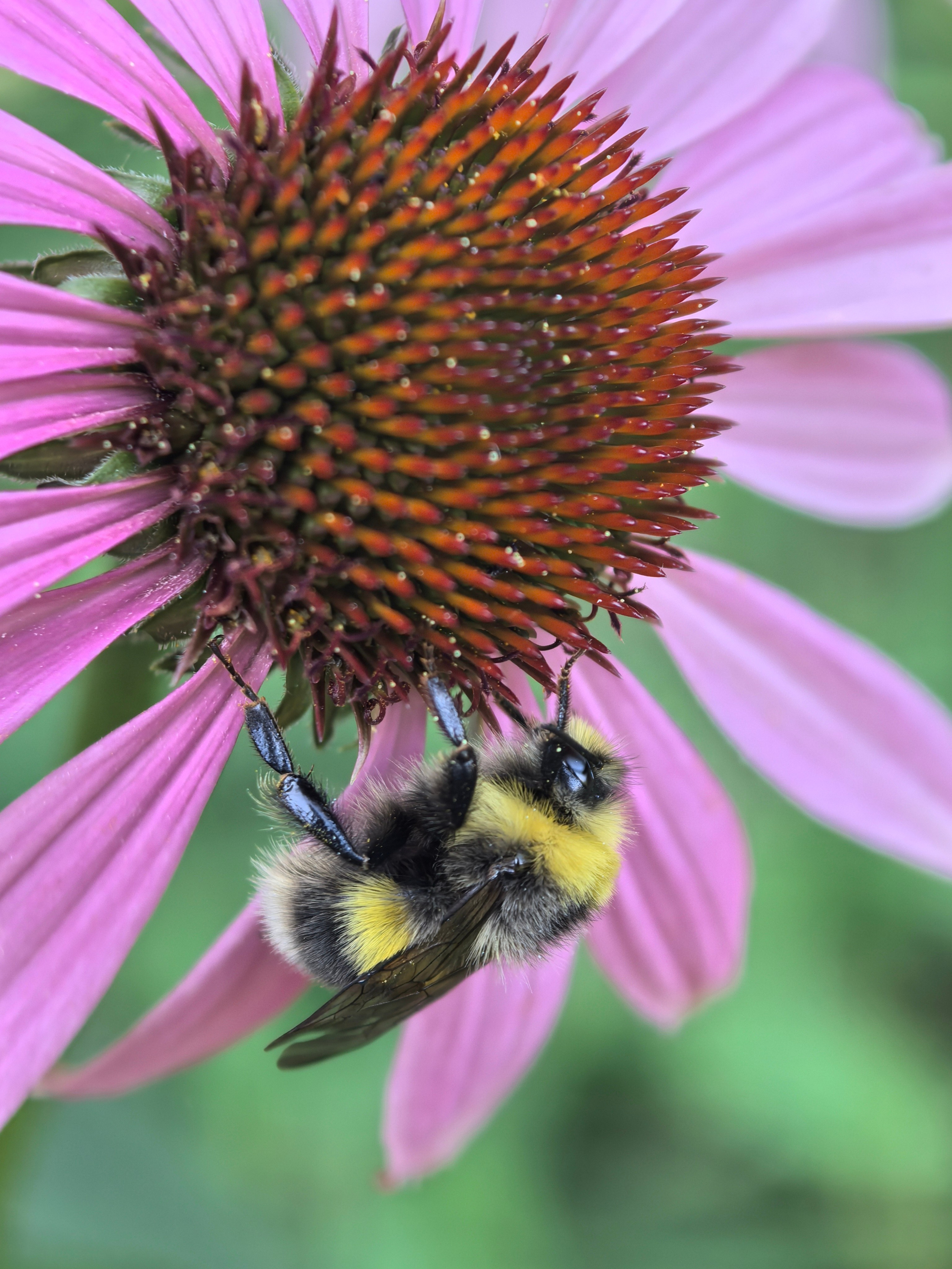 ПочтиМАКРО. Школьные выпускные альбомы в Москве Марина Николаева