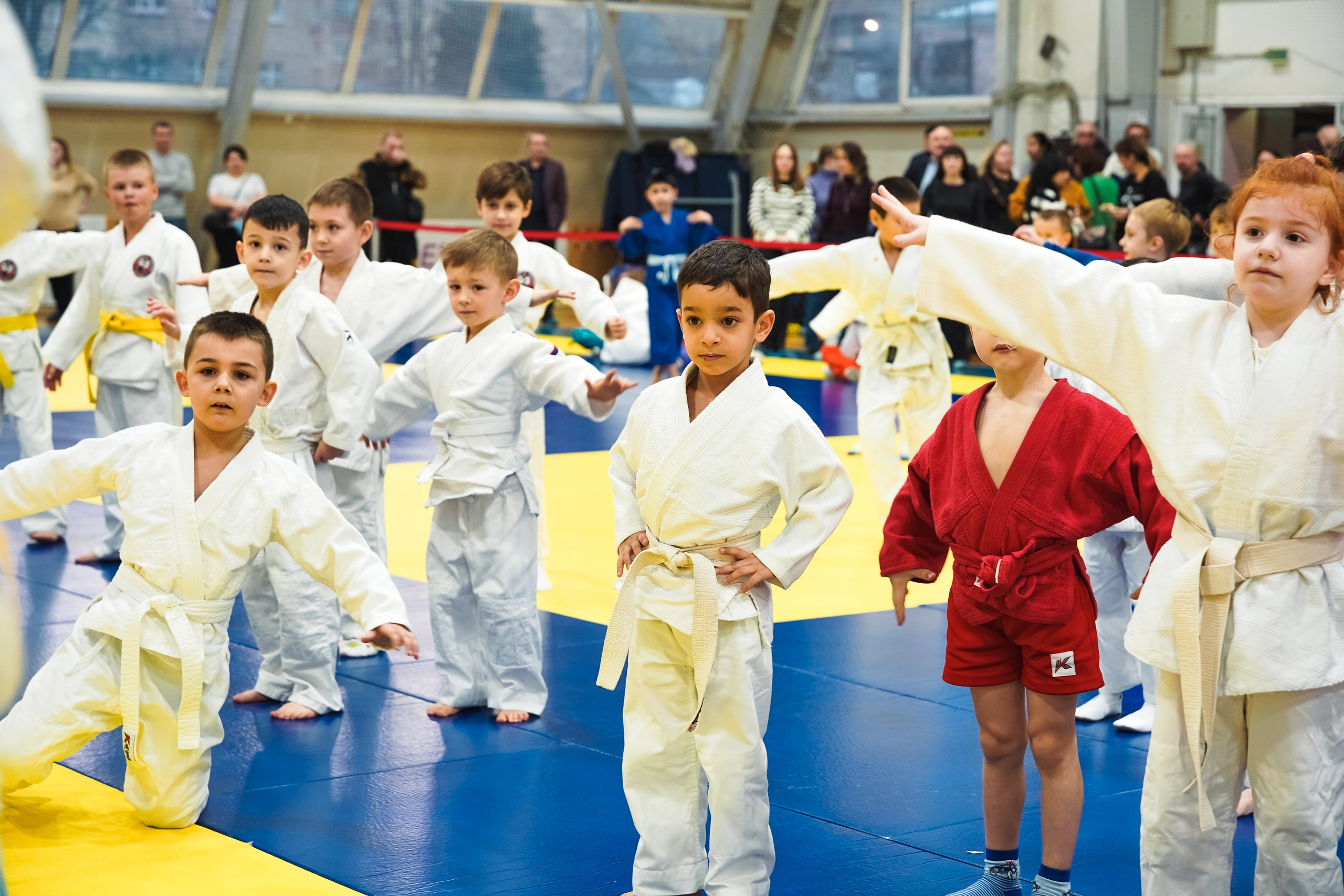 Самбо. Портретный и репортажный фотограф