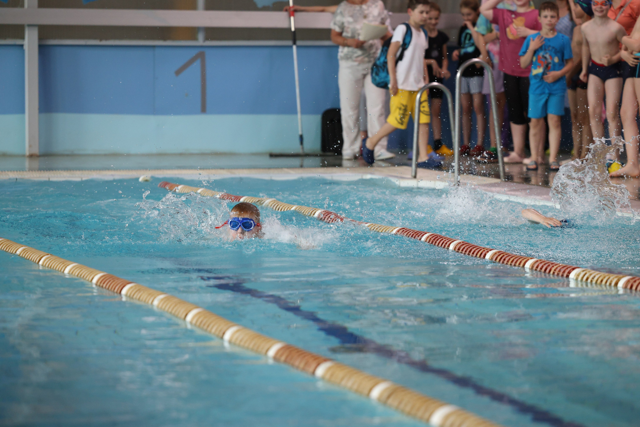 Веселый дельфин. Плавание. Дети 8-9 лет. Фотограф Александр Заломаев