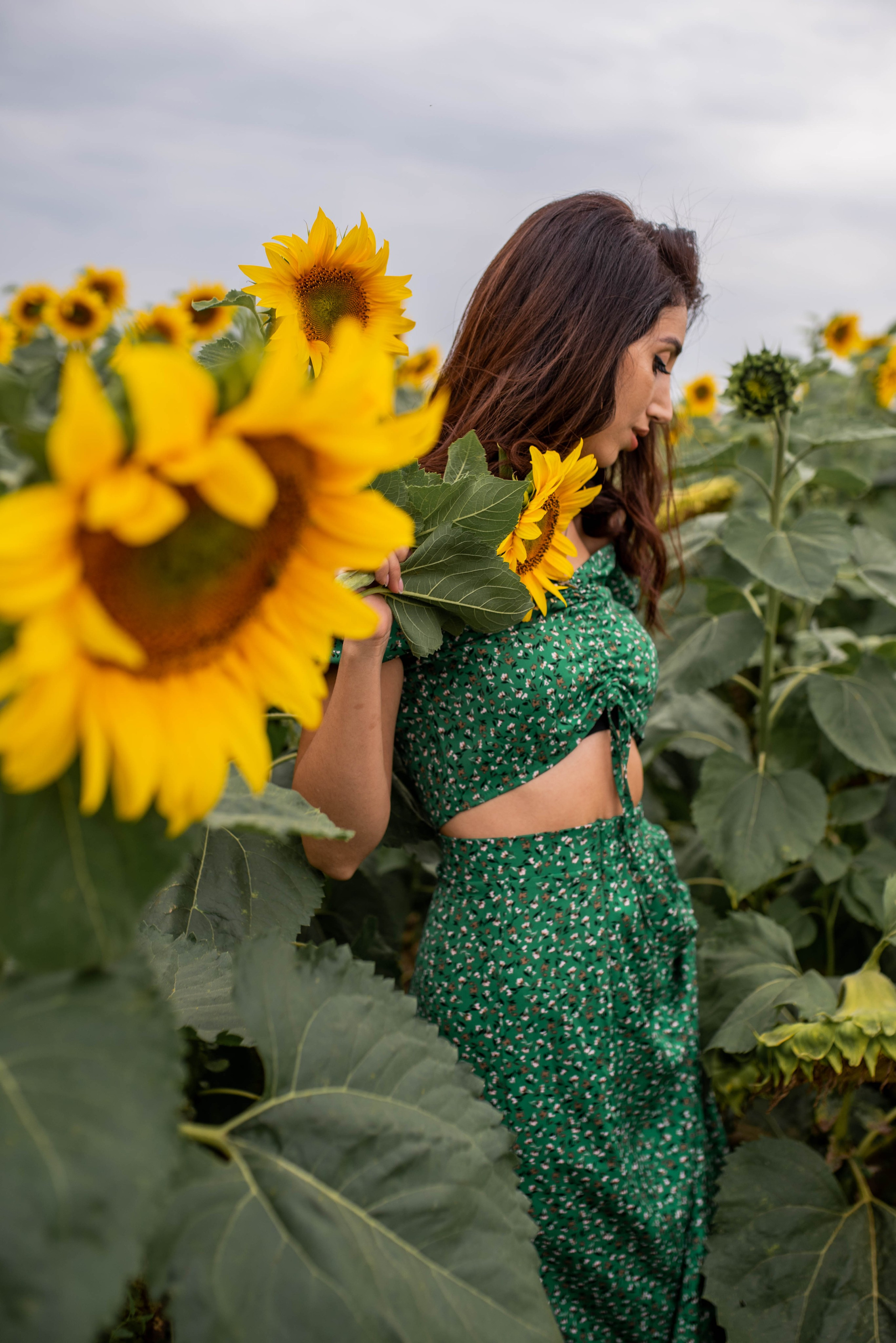 Подсолнухи. Фотосессия на природе. Фотограф Евгения ENIGMA