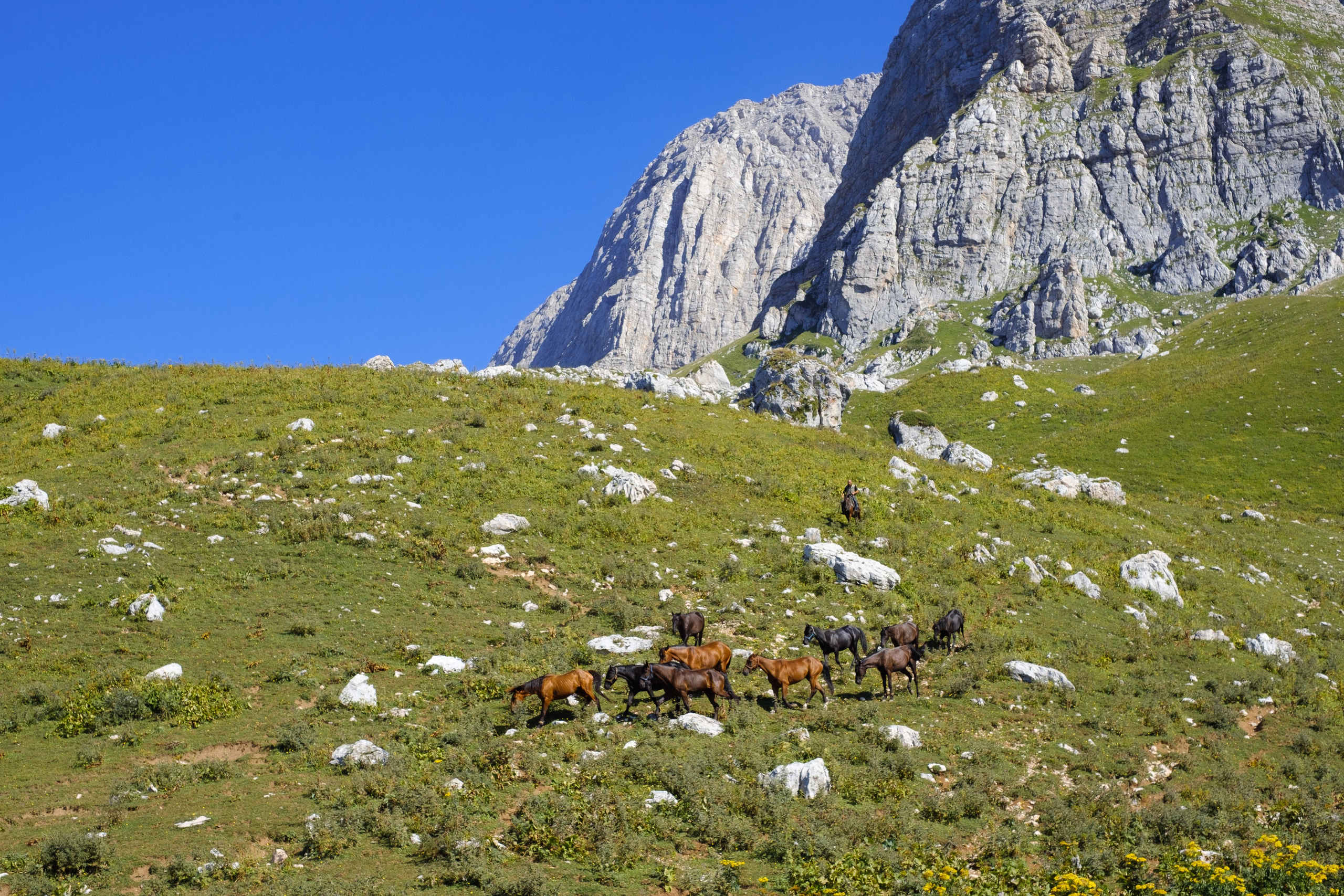 Тридцатка | август 2023