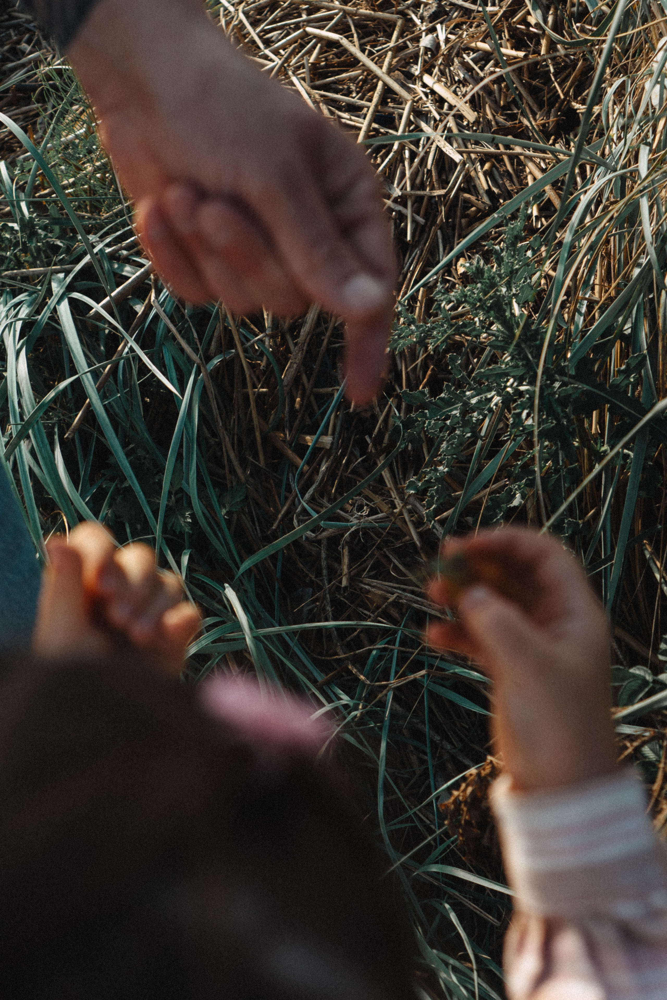 МАМА И ДОЧКА НА ФИНСКОМ ЗАЛИВЕ. Профессиональный фотограф, Санкт-Петербург — Виктория Богомолова