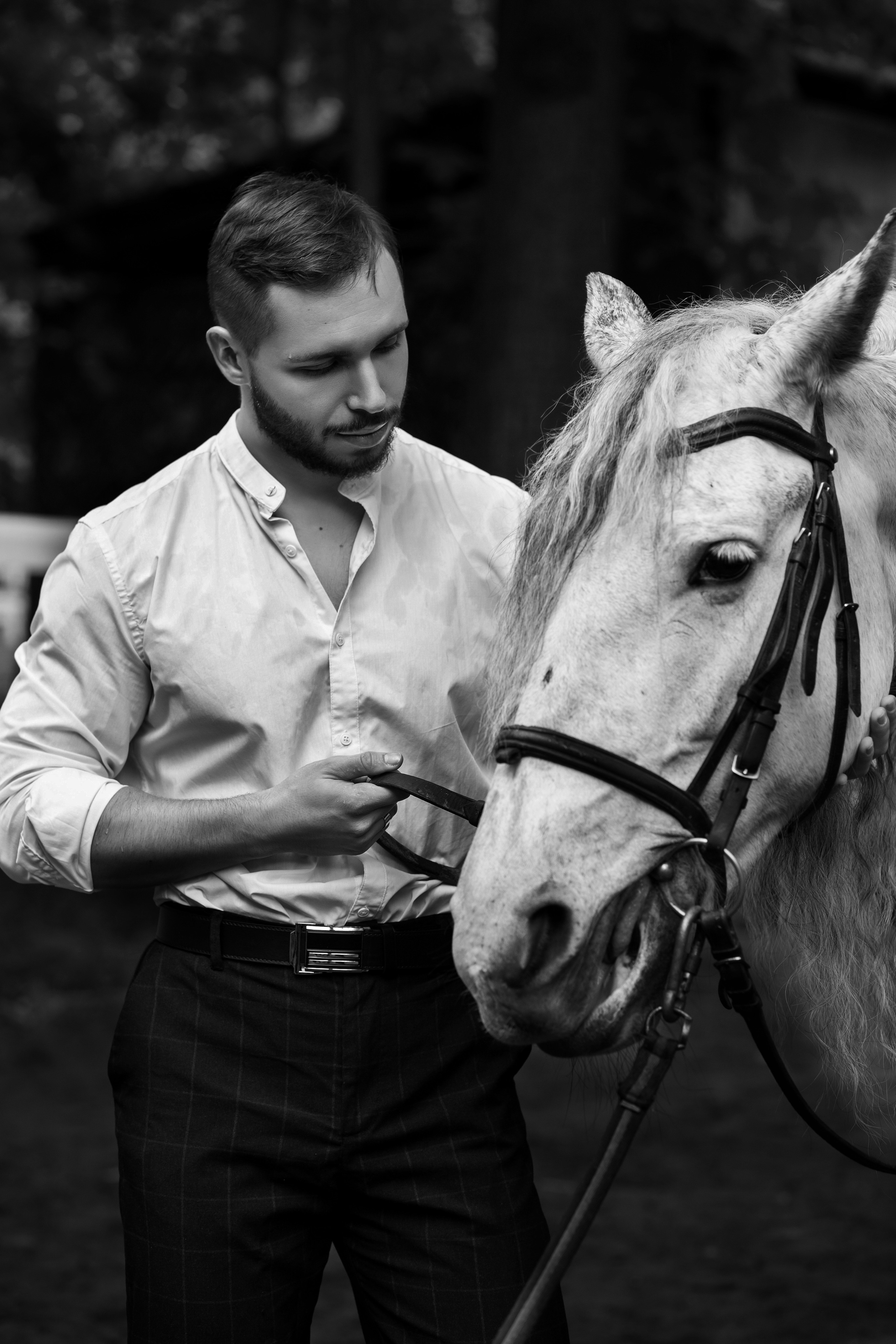 Фотосессия с лошадьми