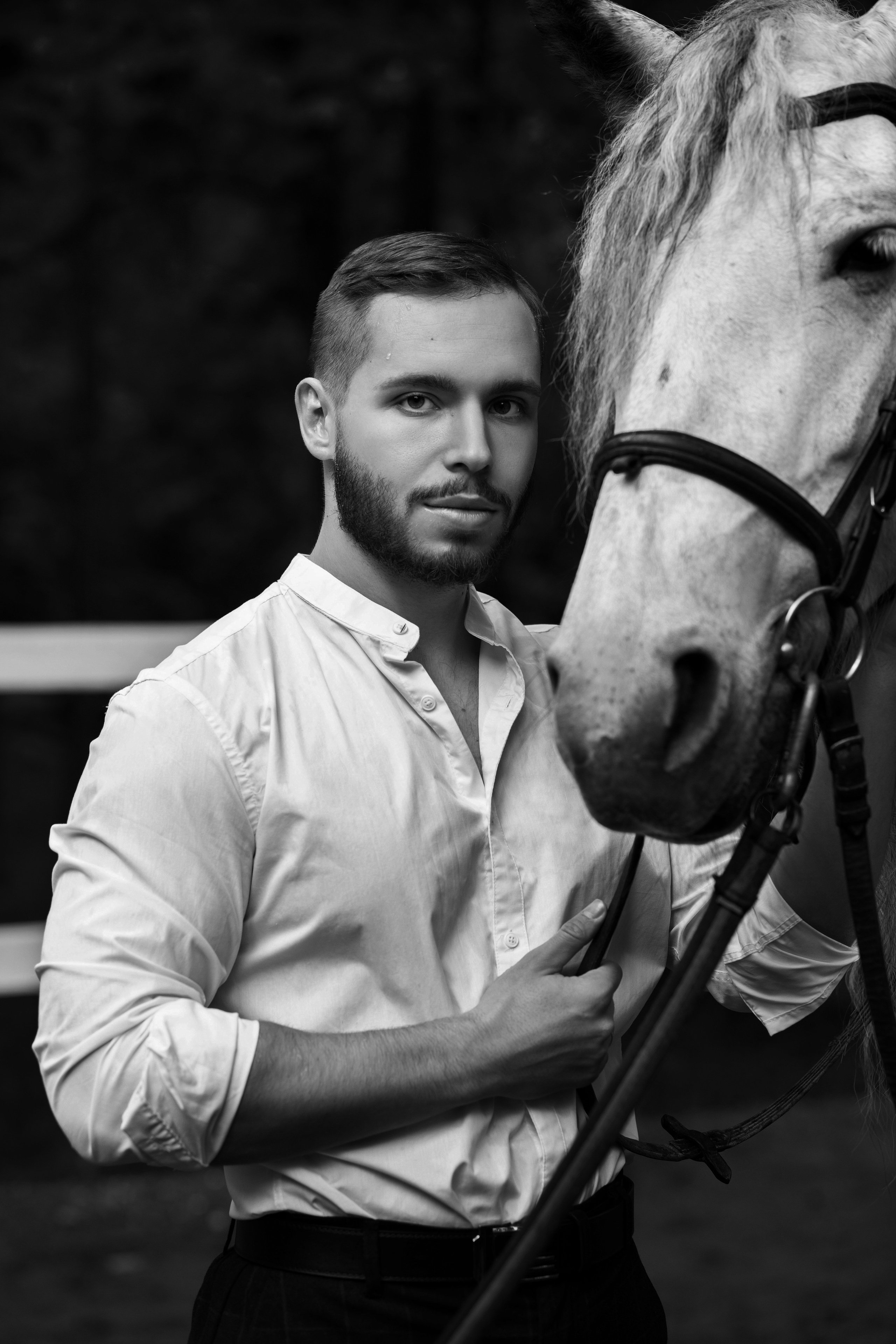 Фотосессия с лошадьми