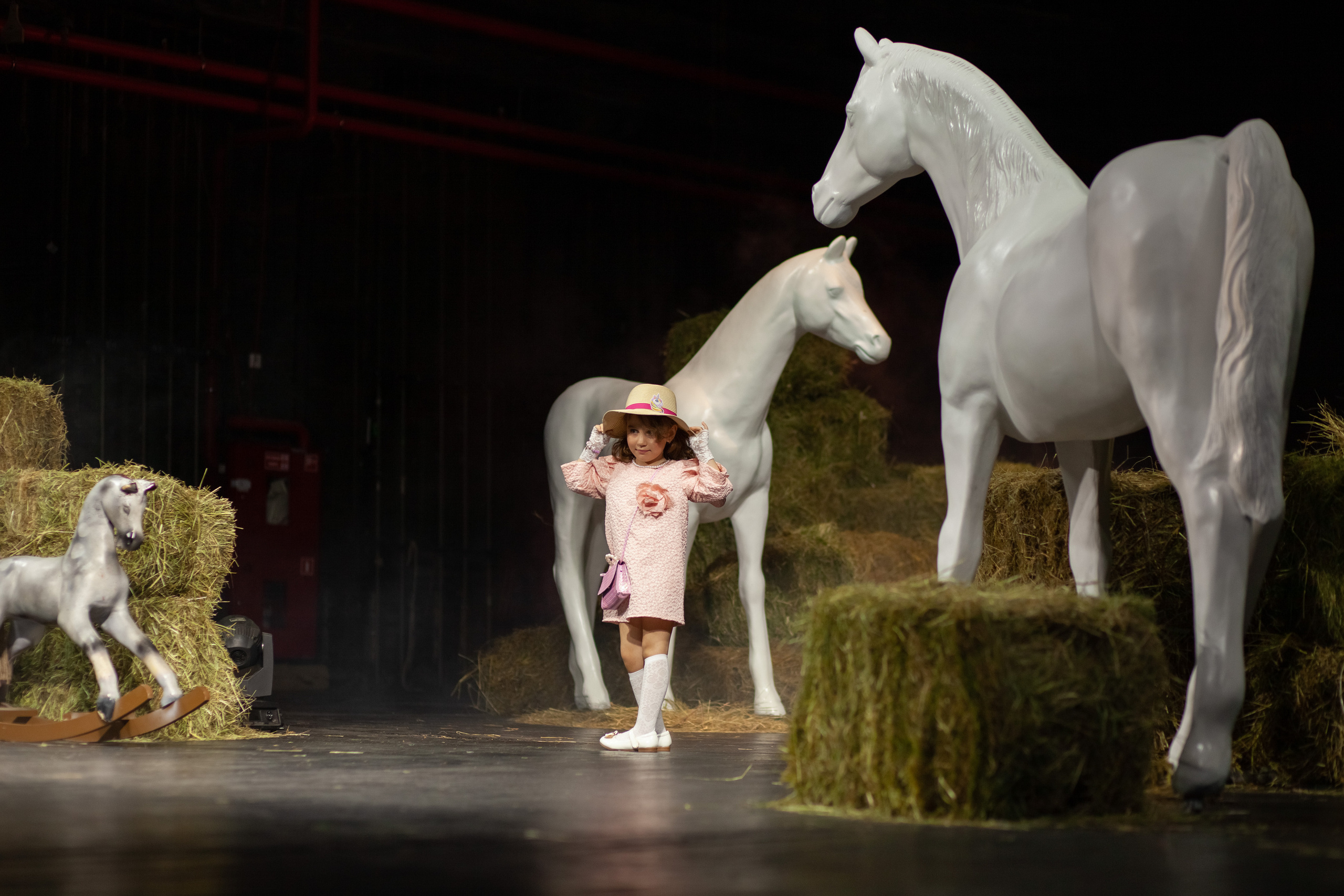 AgicFashionWeek — коллекция «Я в Париже» дизайнера Janavesna