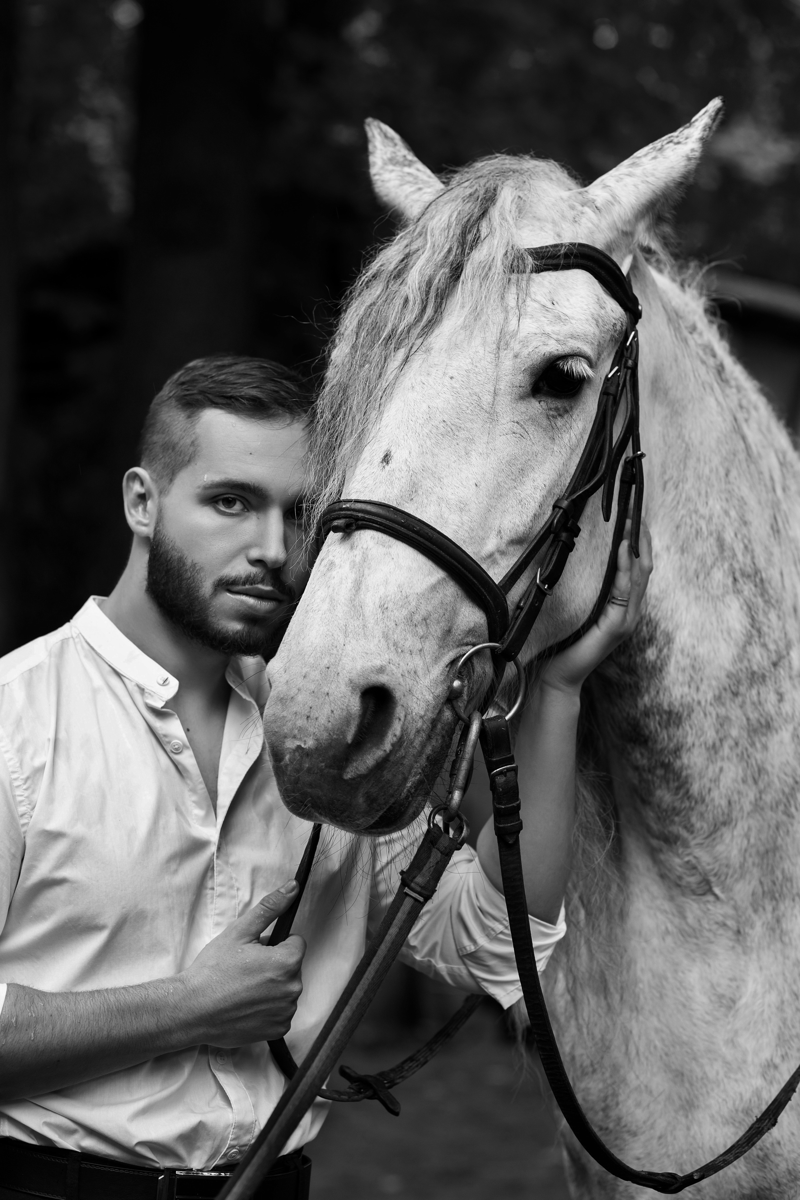 Фотосессия с лошадьми