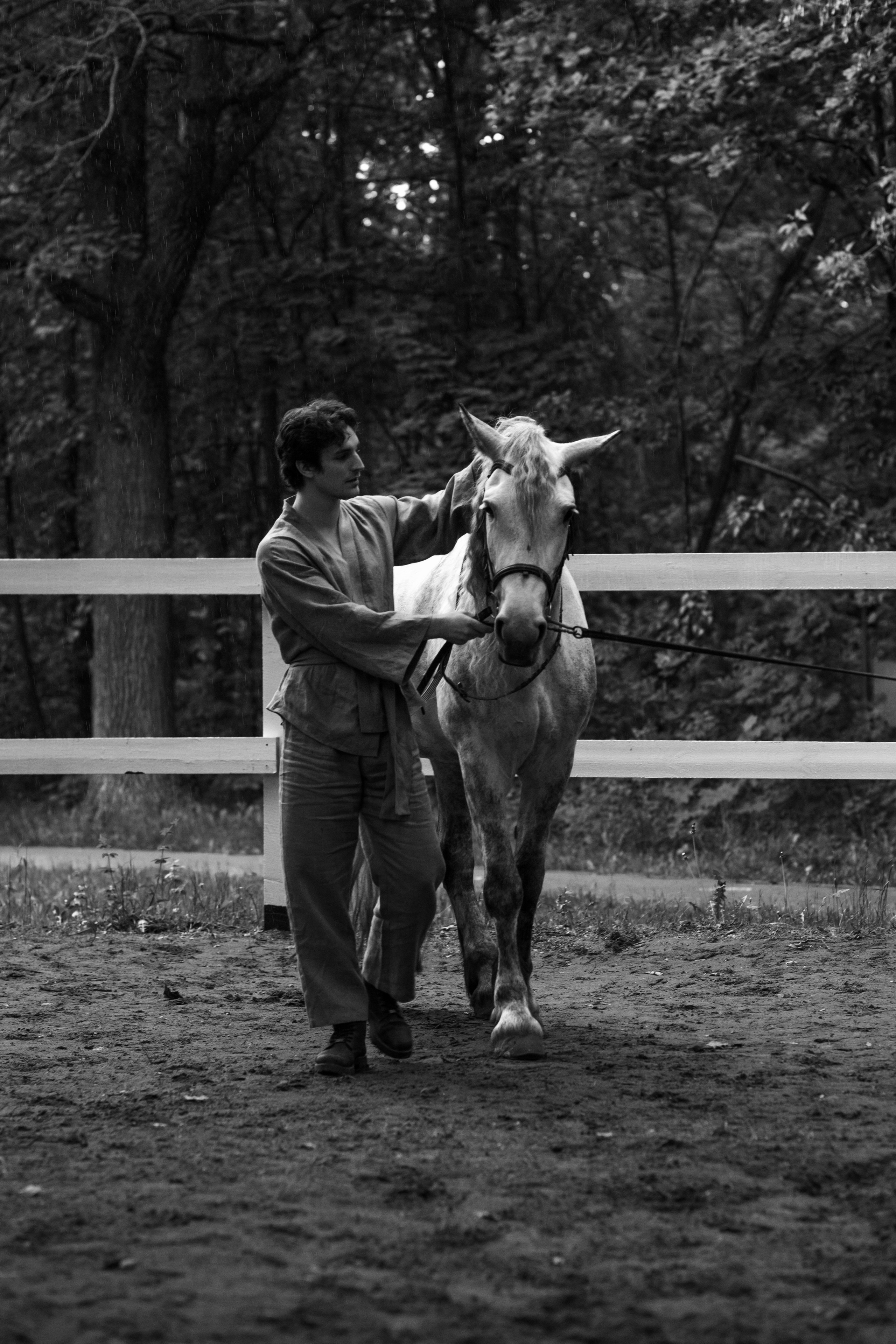 Фотосессия с лошадьми