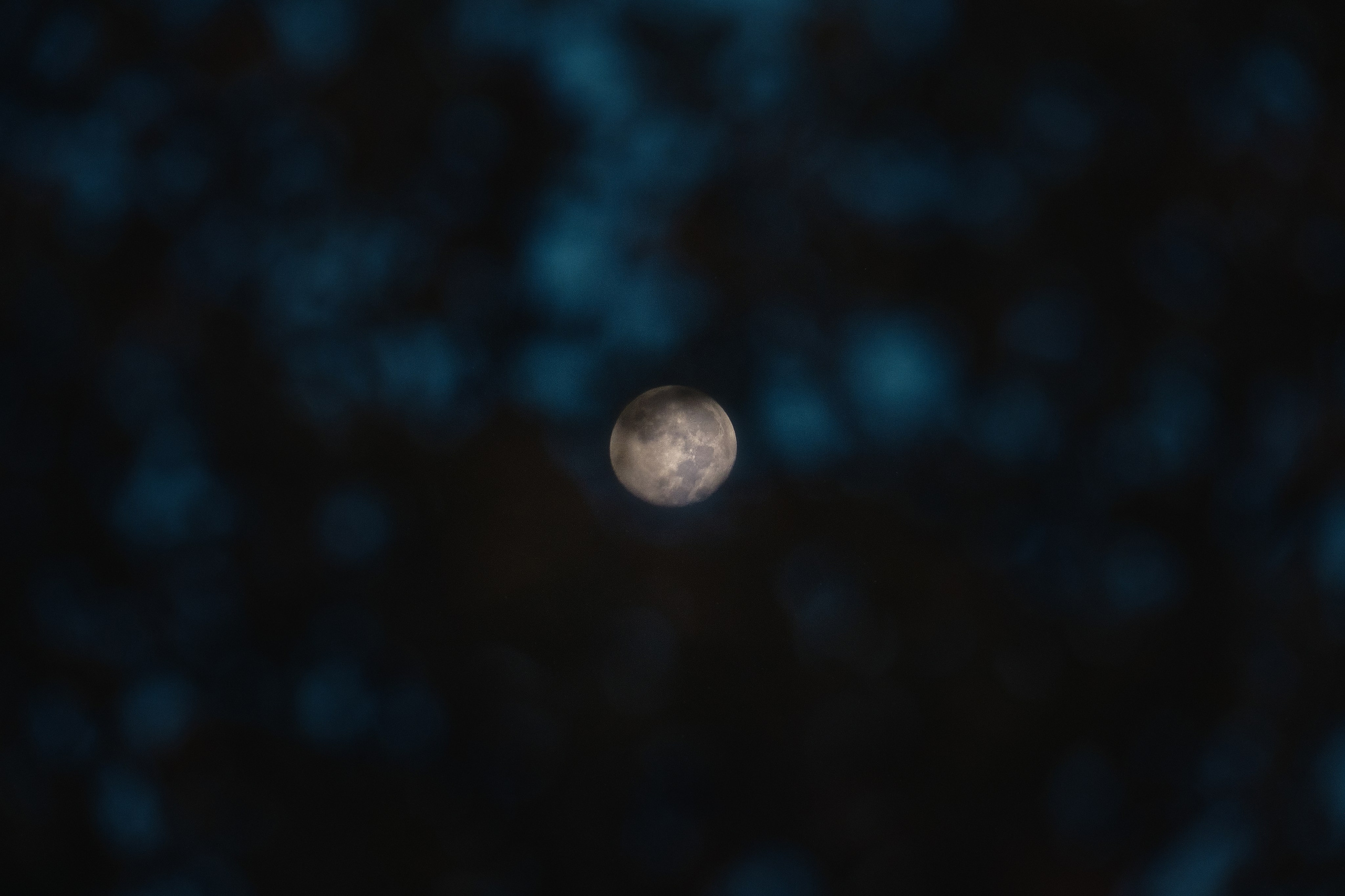 Cyprus / 2023. Aleksandr Kobtsev