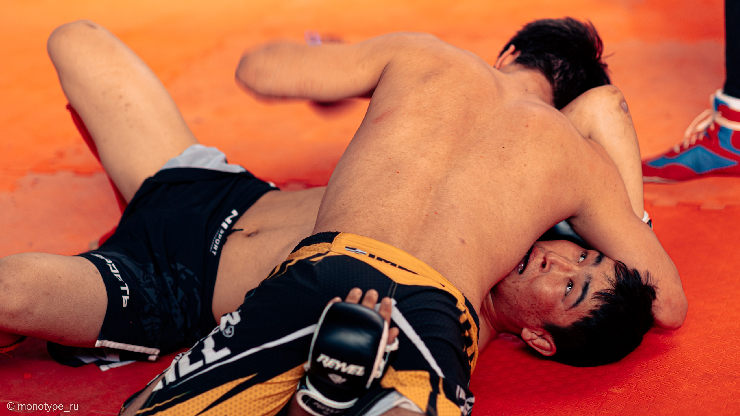 MMA. Бойцовский турнир